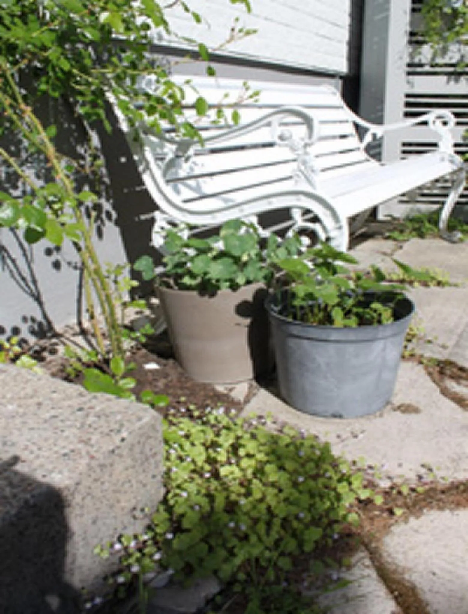 Other in Hotell Zlafen Bed and Breakfast