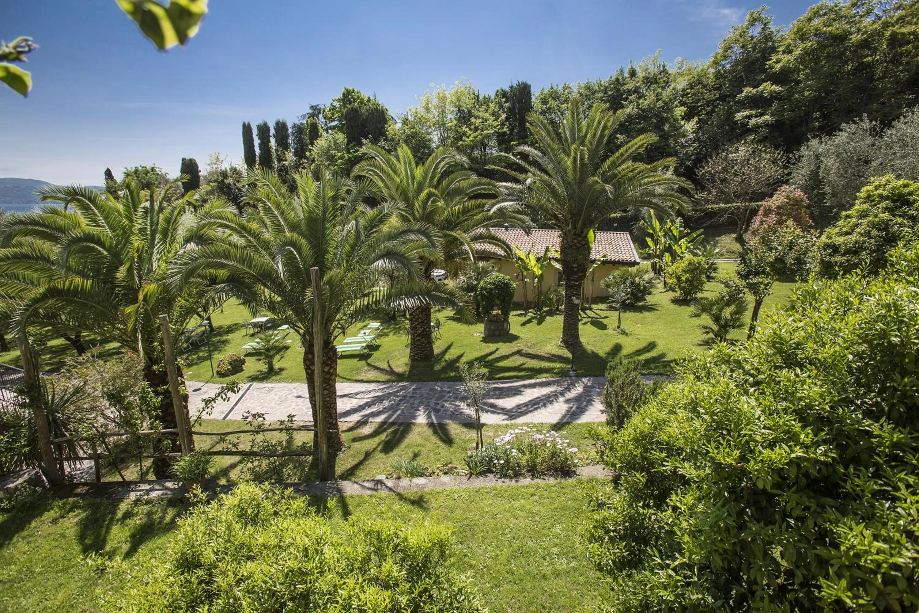 Garden in Hotel Livia