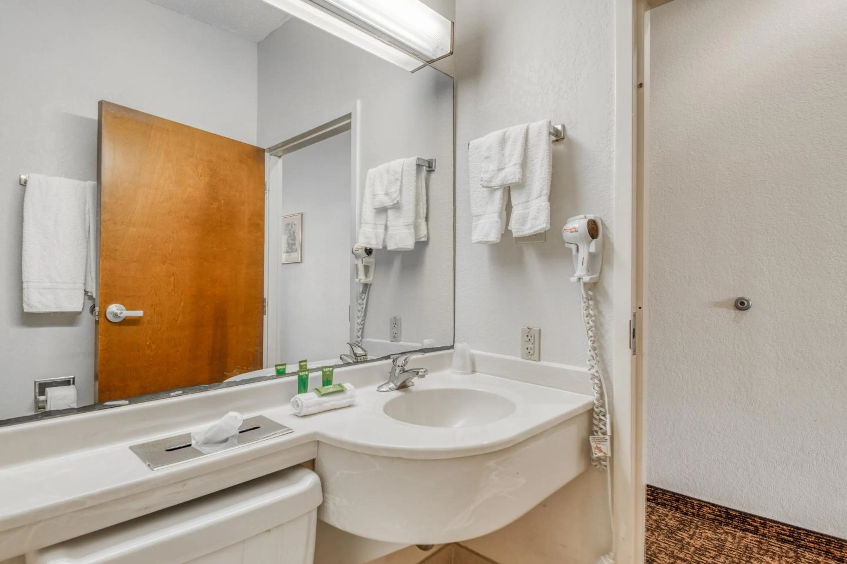 Bathroom in Trident Inn & Suites, Baton Rouge