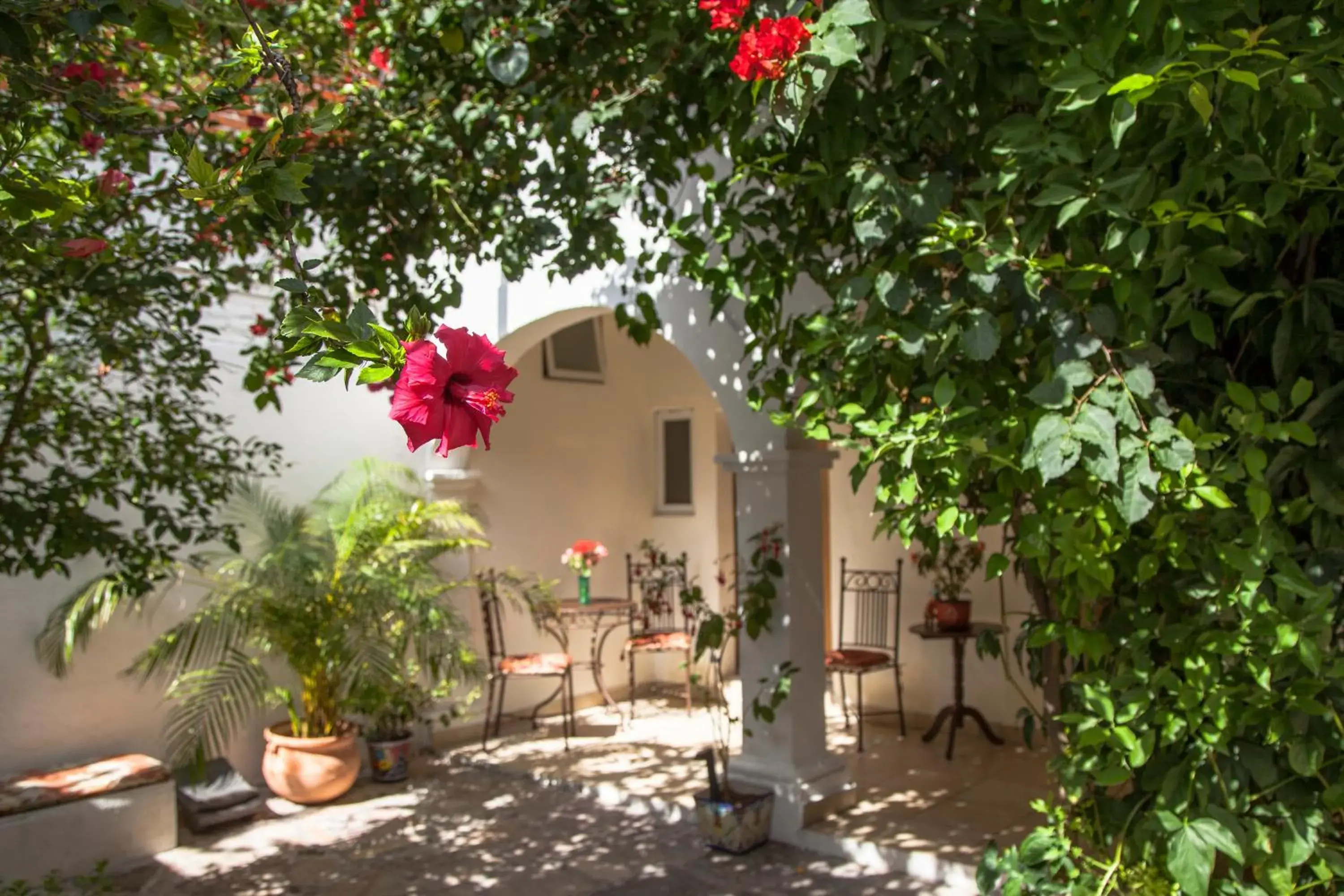 Hotel Casa San Miguel Hotel Casa San Miguel