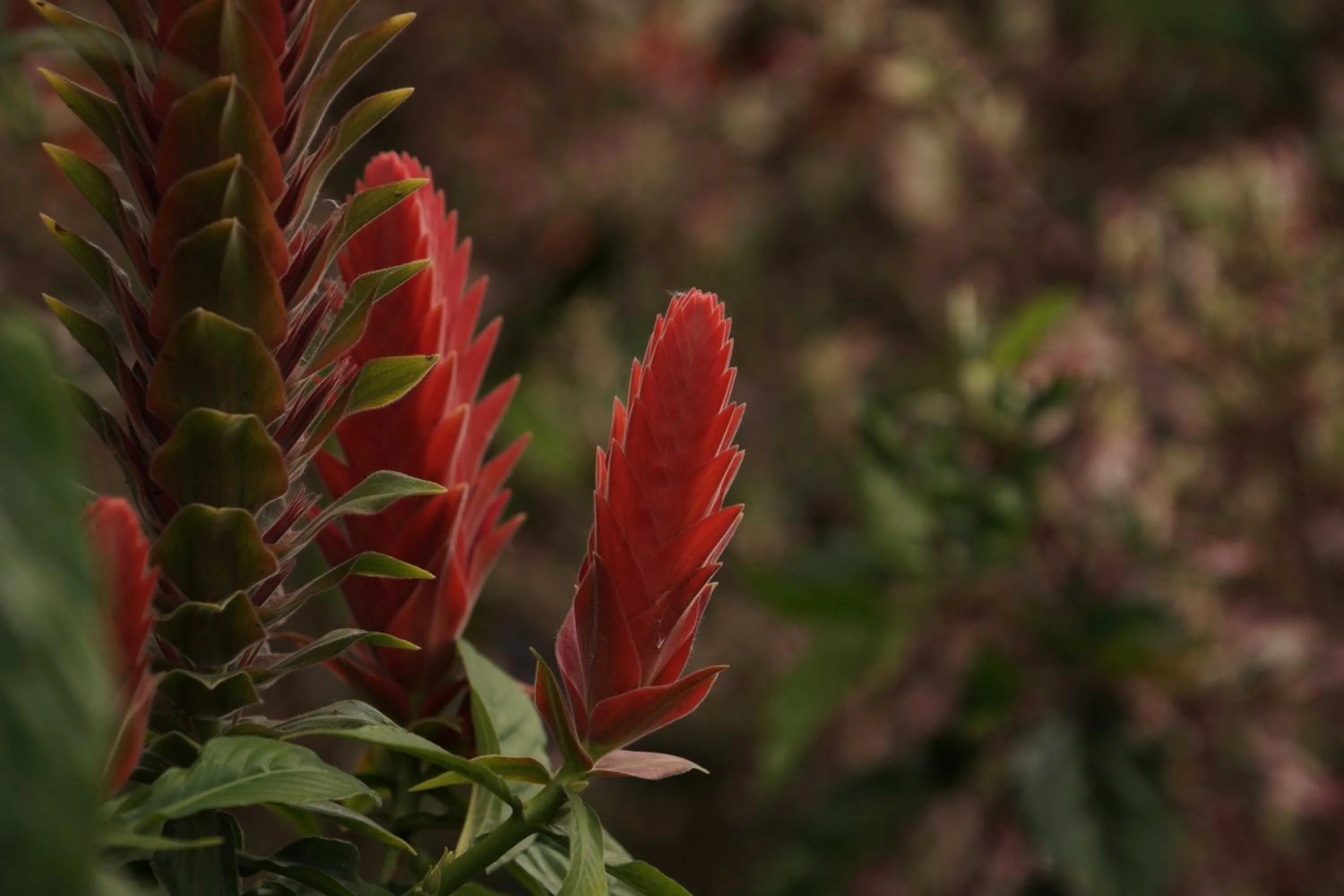 Property building in Posada la Serena