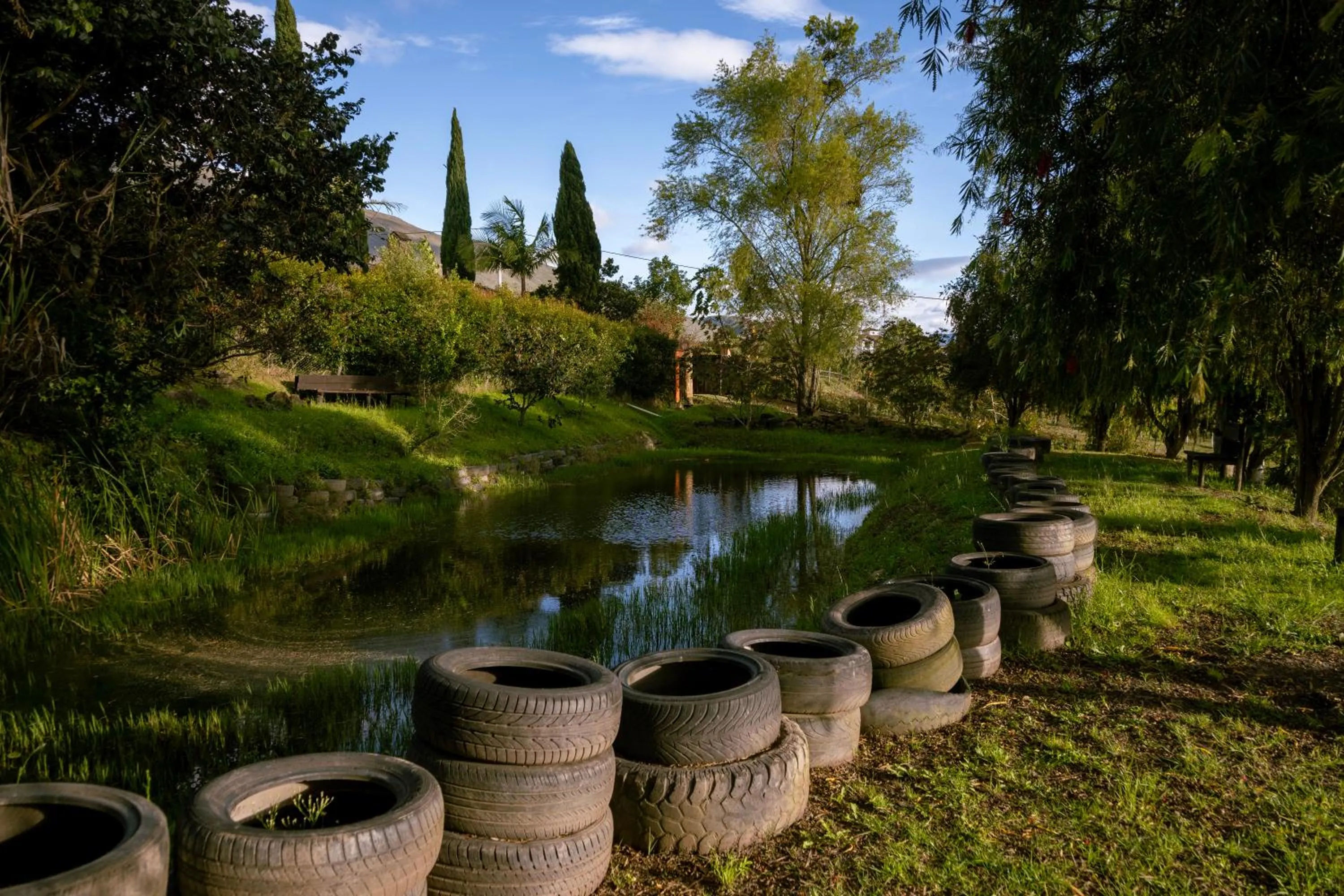 Natural landscape in Posada la Serena