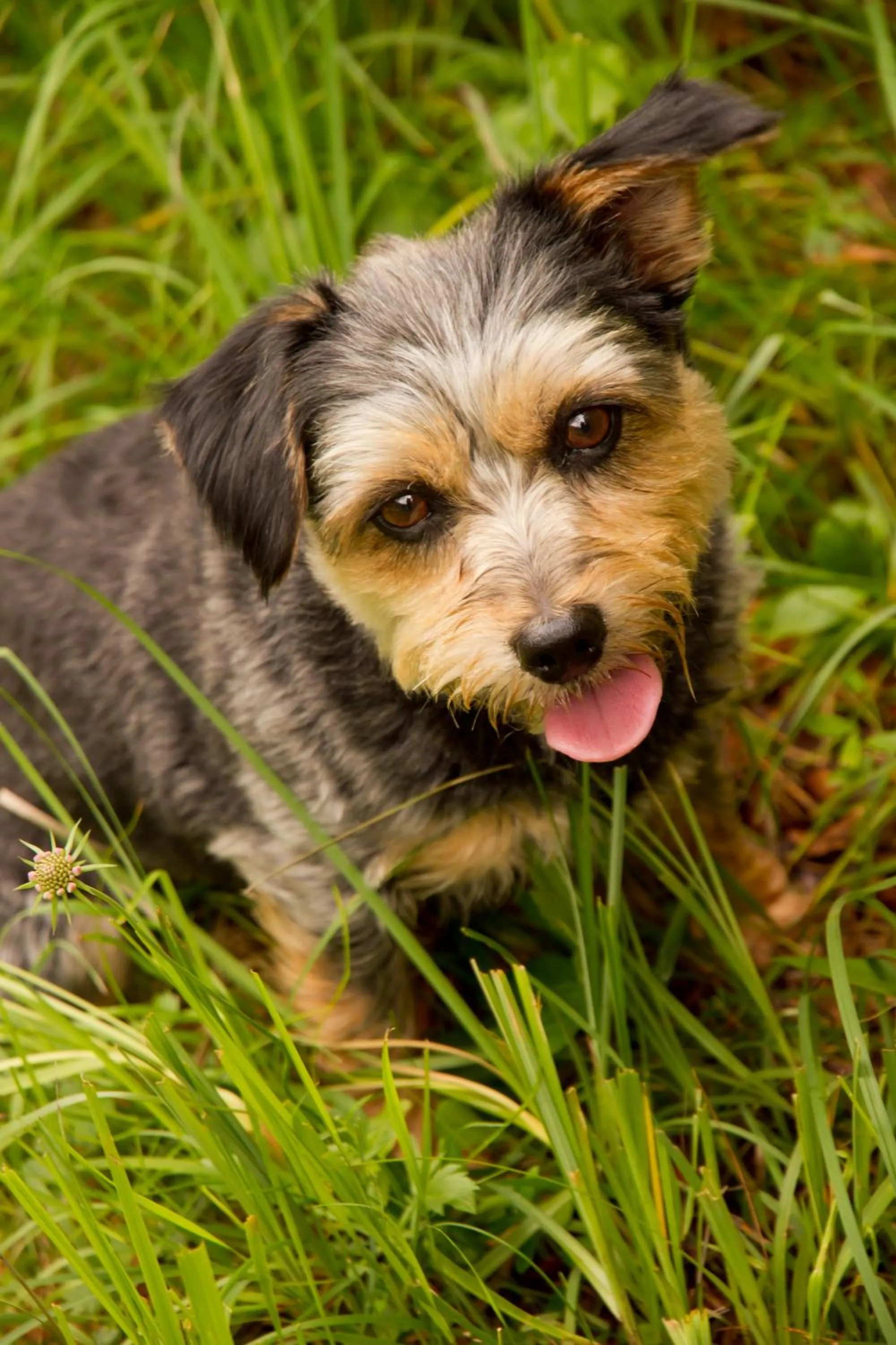 Animals in Das Naturhotel die Eng