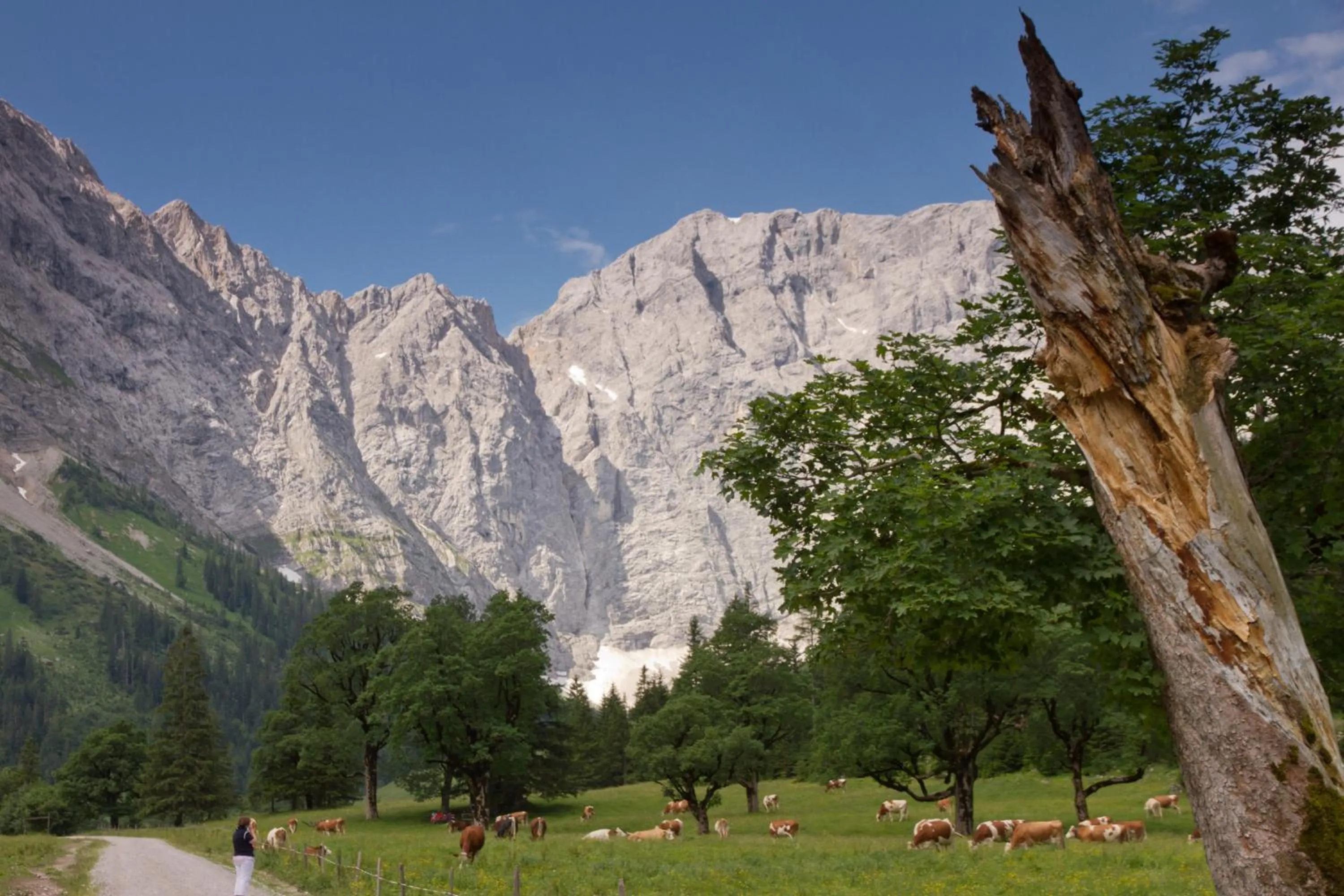 Animals in Das Naturhotel die Eng