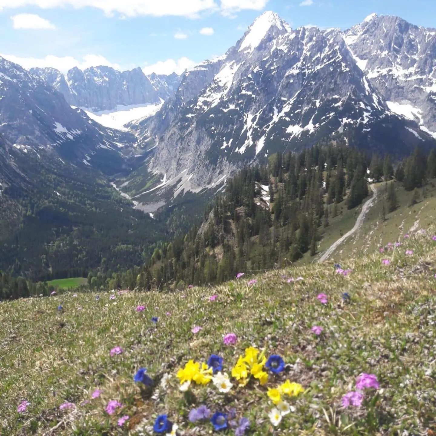 Natural landscape in Das Naturhotel die Eng