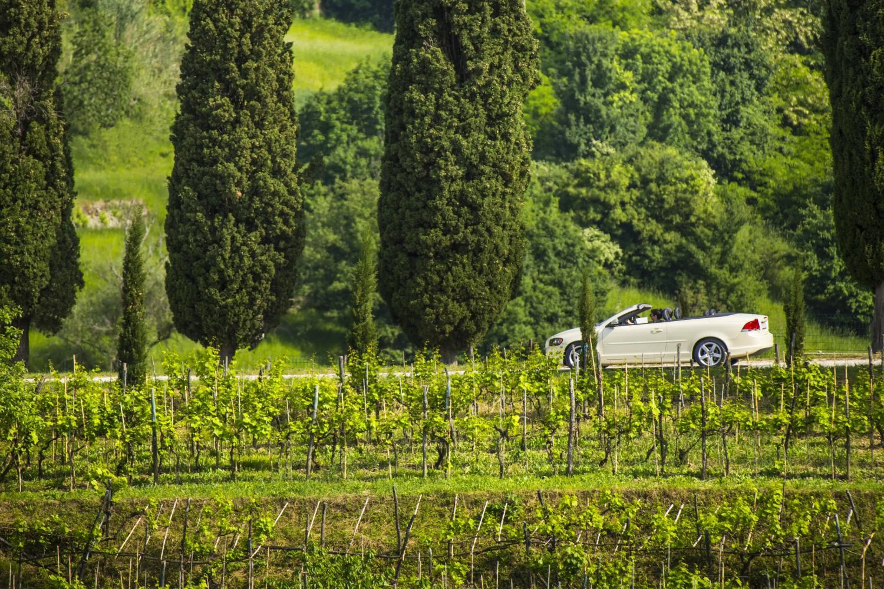 Nearby landmark in Palazzo Angelica B&B Adults Only