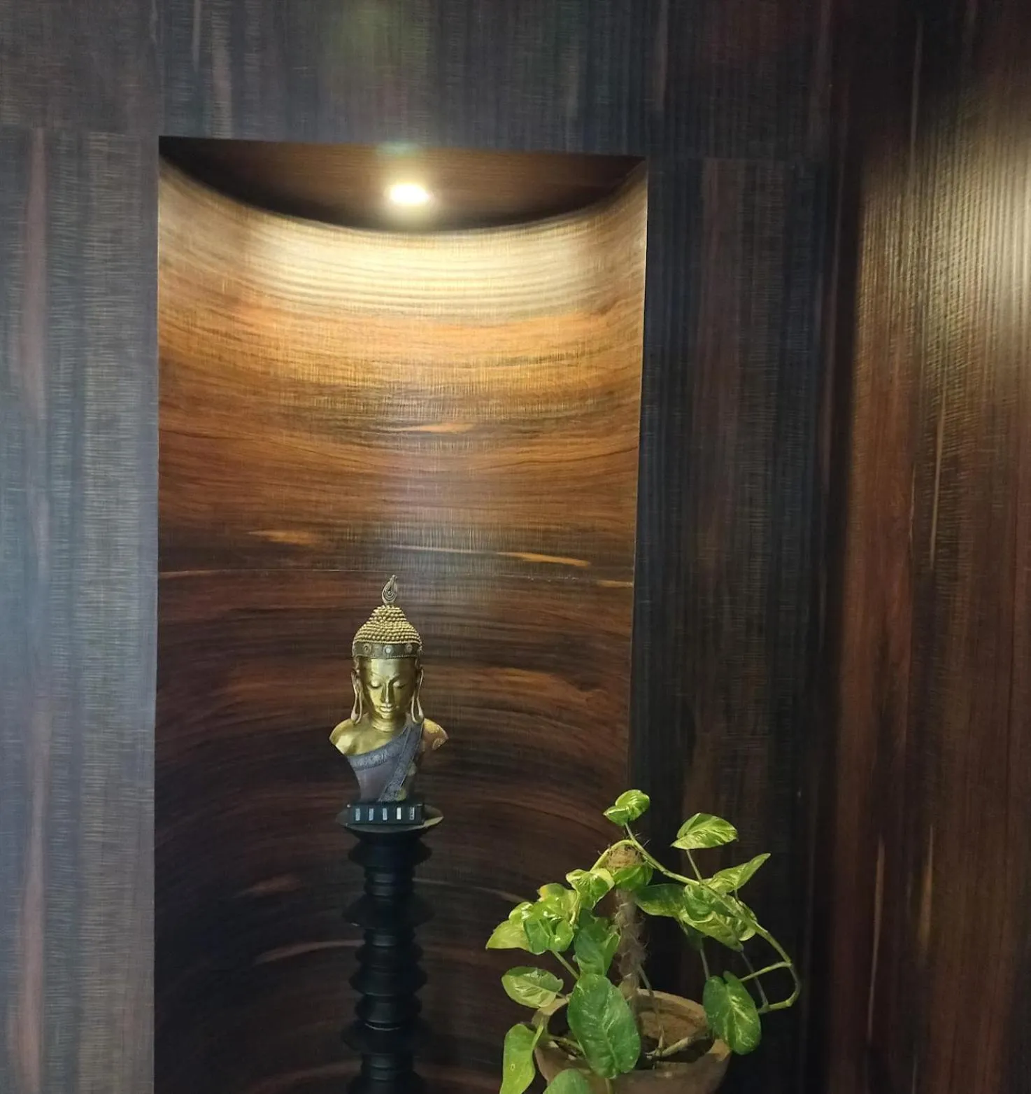 Sangam Resort, pilani