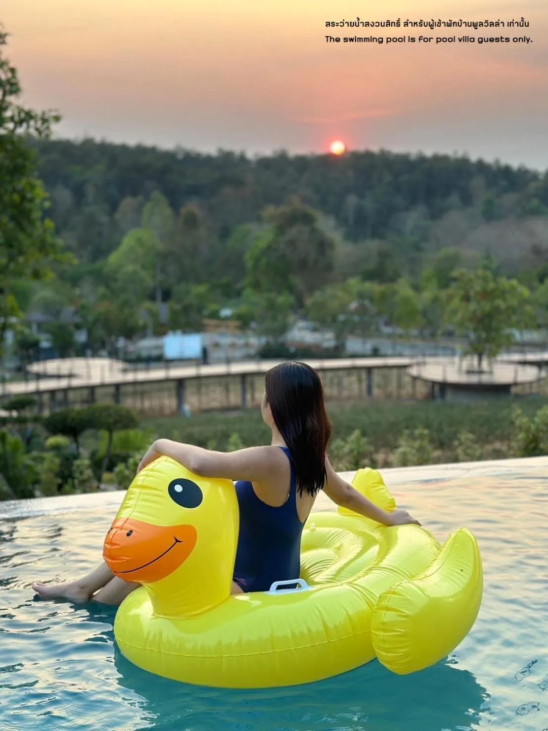 Natural landscape in PASSA ผัสสะ Tea Plantation @Mae On