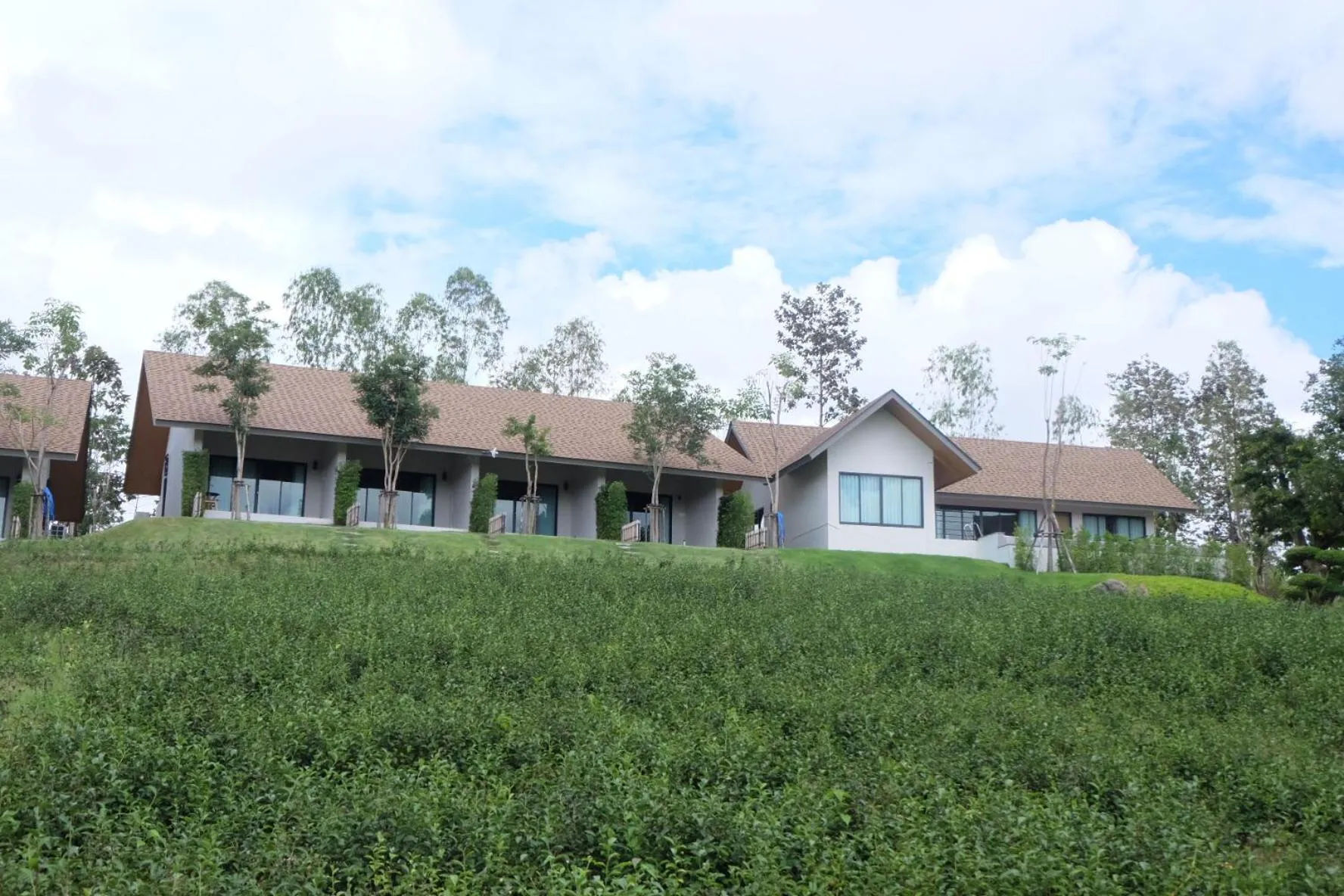 Property building in PASSA ผัสสะ Tea Plantation @Mae On