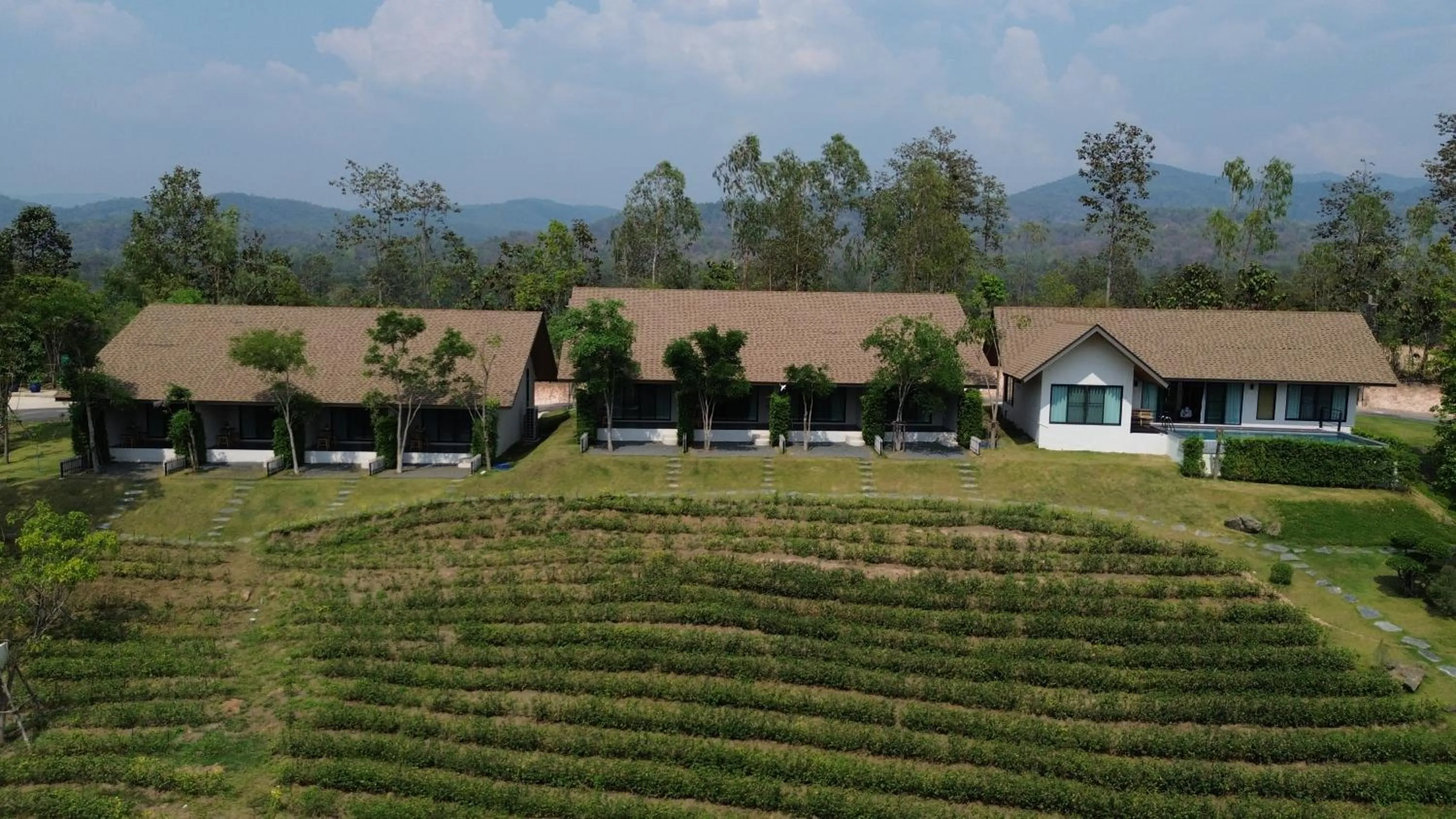 Natural landscape in PASSA ผัสสะ Tea Plantation @Mae On