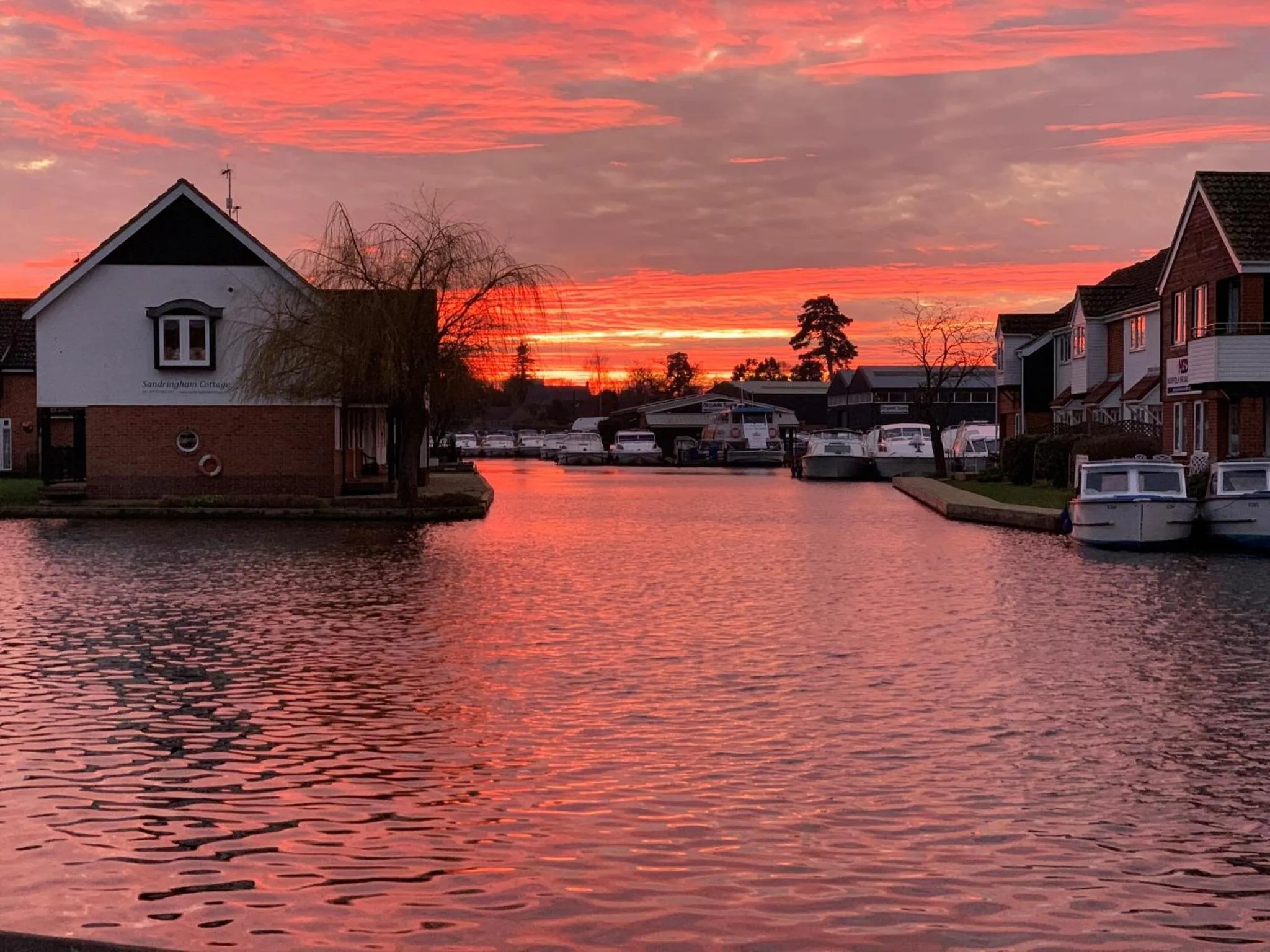 Natural landscape in Hotel Wroxham