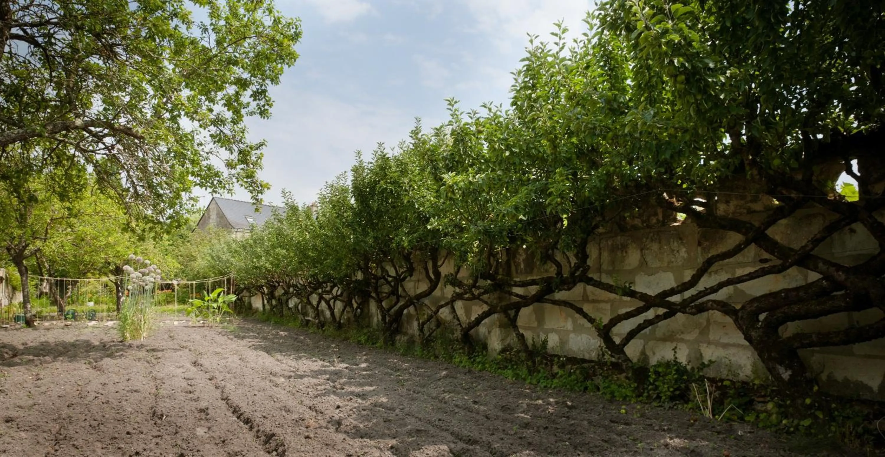 Chambre d'Hôtes des Grands Moulins de Baugé