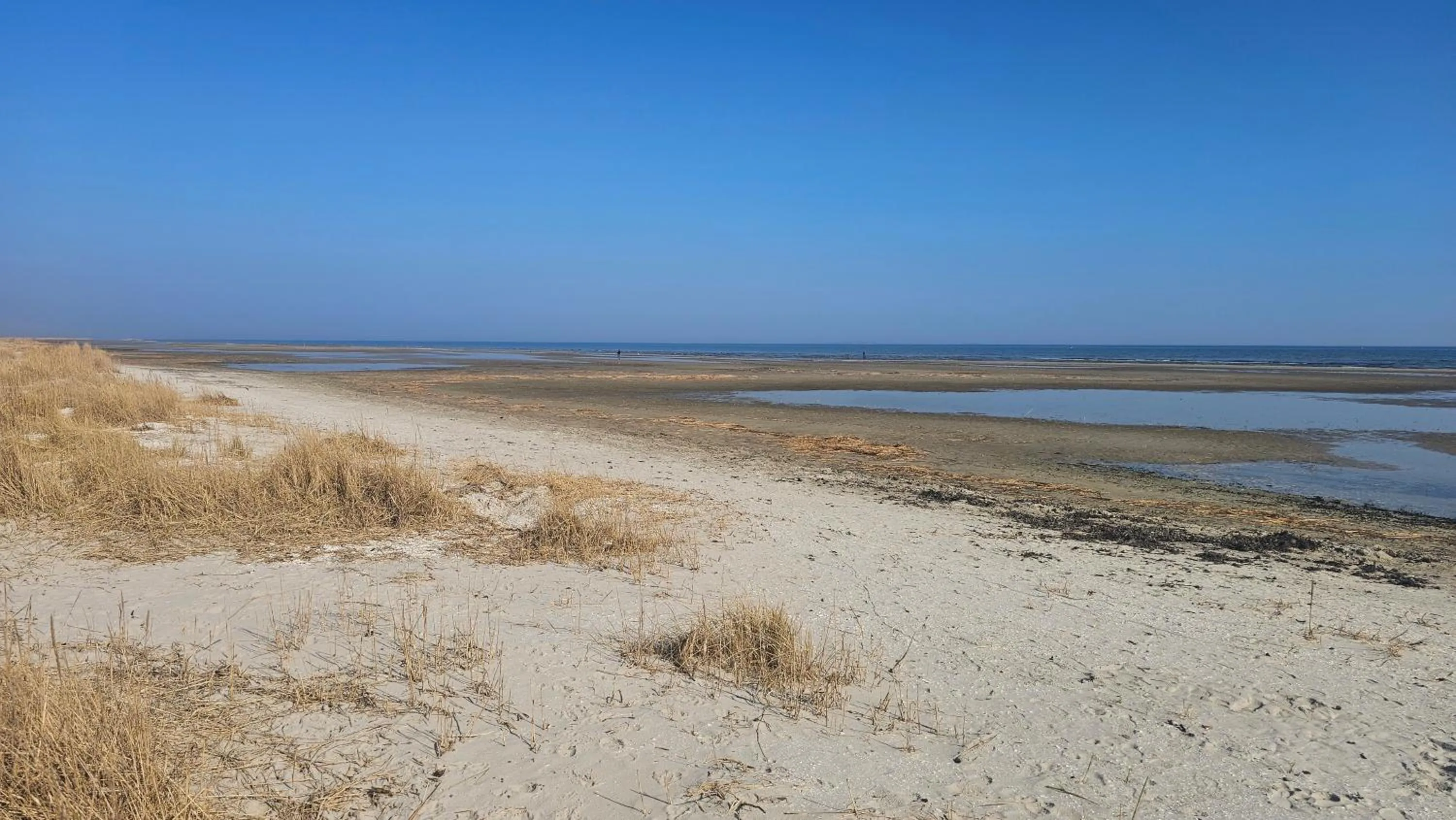 Spring in Hafenkiek 55 exklusiv wohnen am Yachthafen