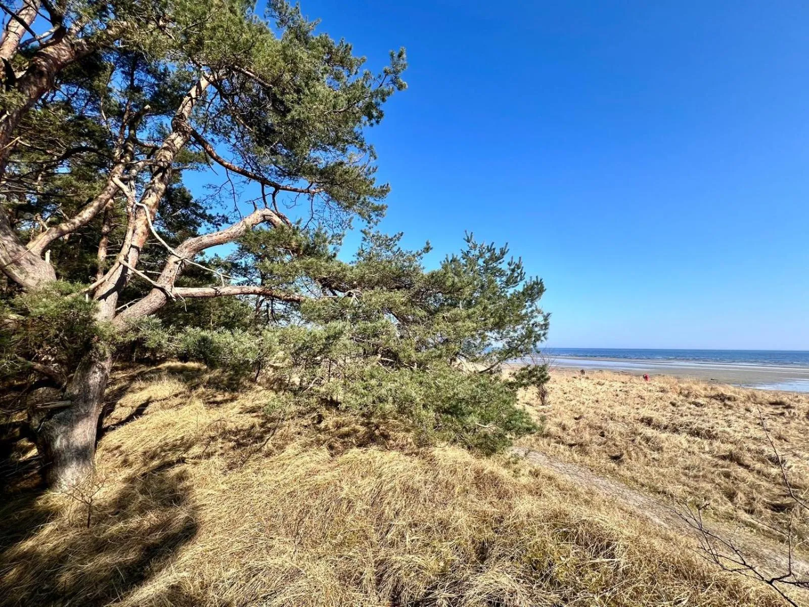 Natural landscape in Hafenkiek 55 exklusiv wohnen am Yachthafen