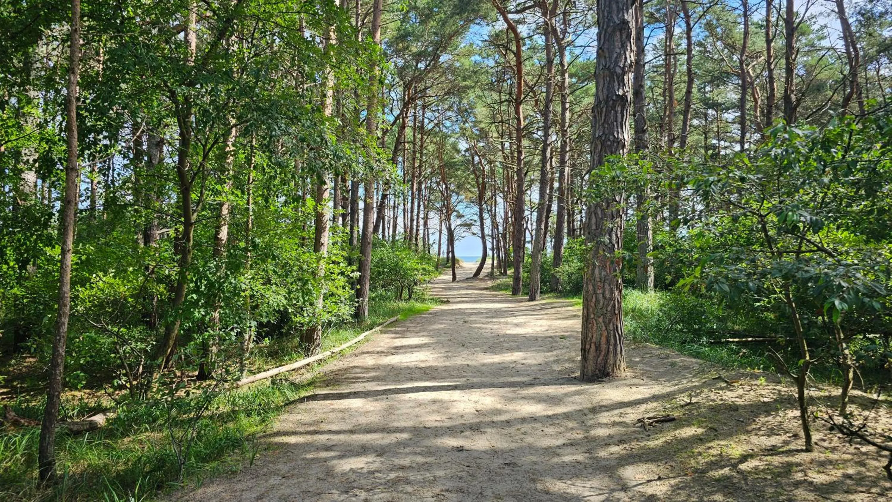 Spring in Hafenkiek 55 exklusiv wohnen am Yachthafen