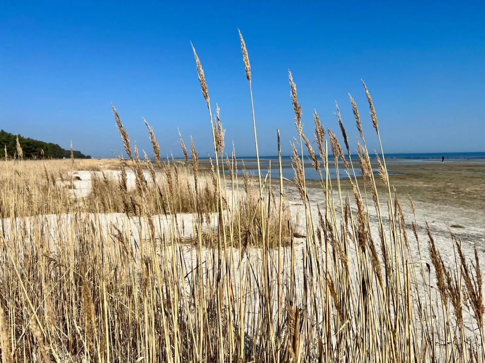 Natural landscape in Hafenkiek 55 exklusiv wohnen am Yachthafen