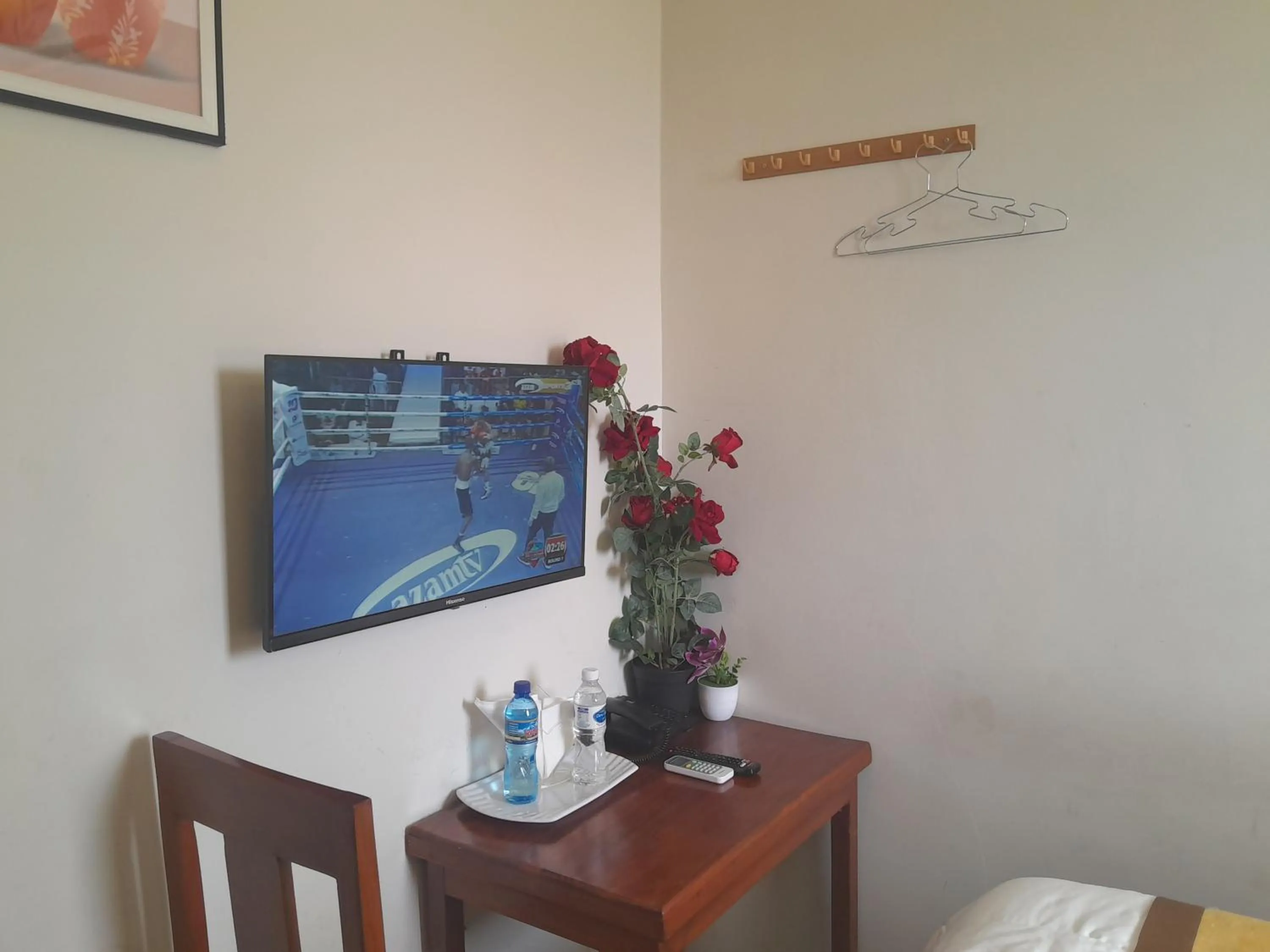TV and multimedia in PALAZZO GARDEN RESORT MATEMA