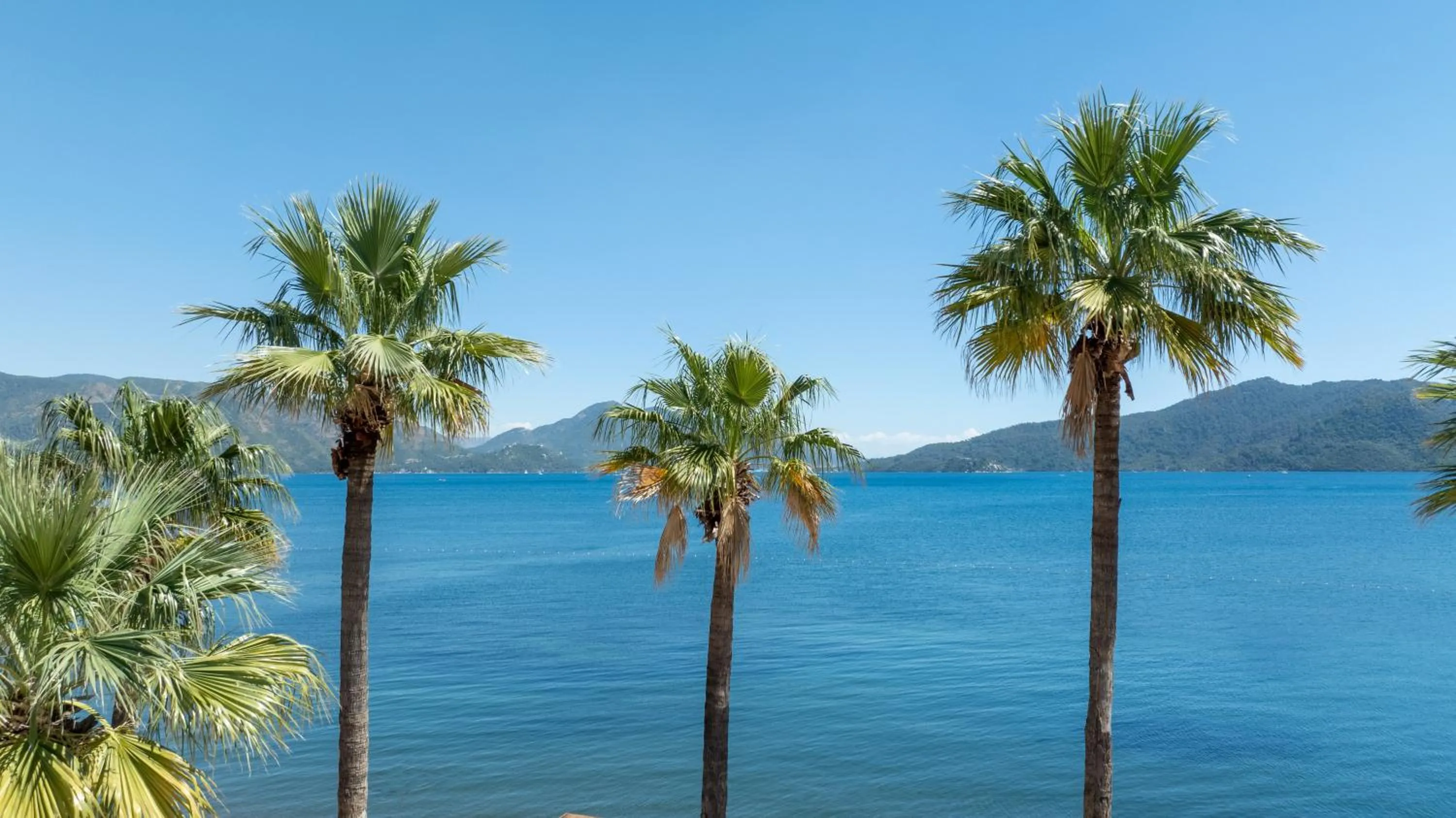 Beach in Prime Beach Hotel