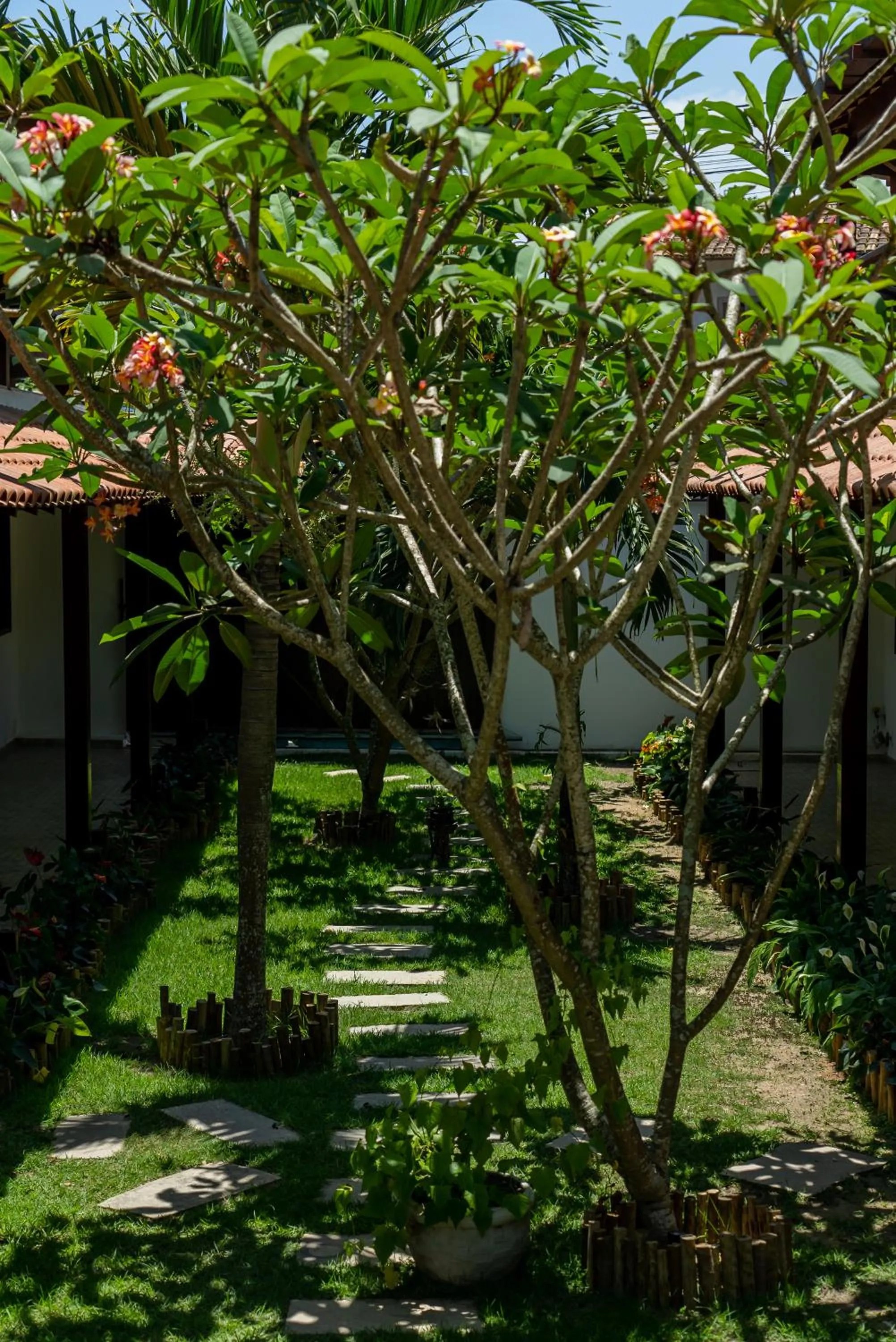 Garden in Villa Alexandre Pousada - Trancoso