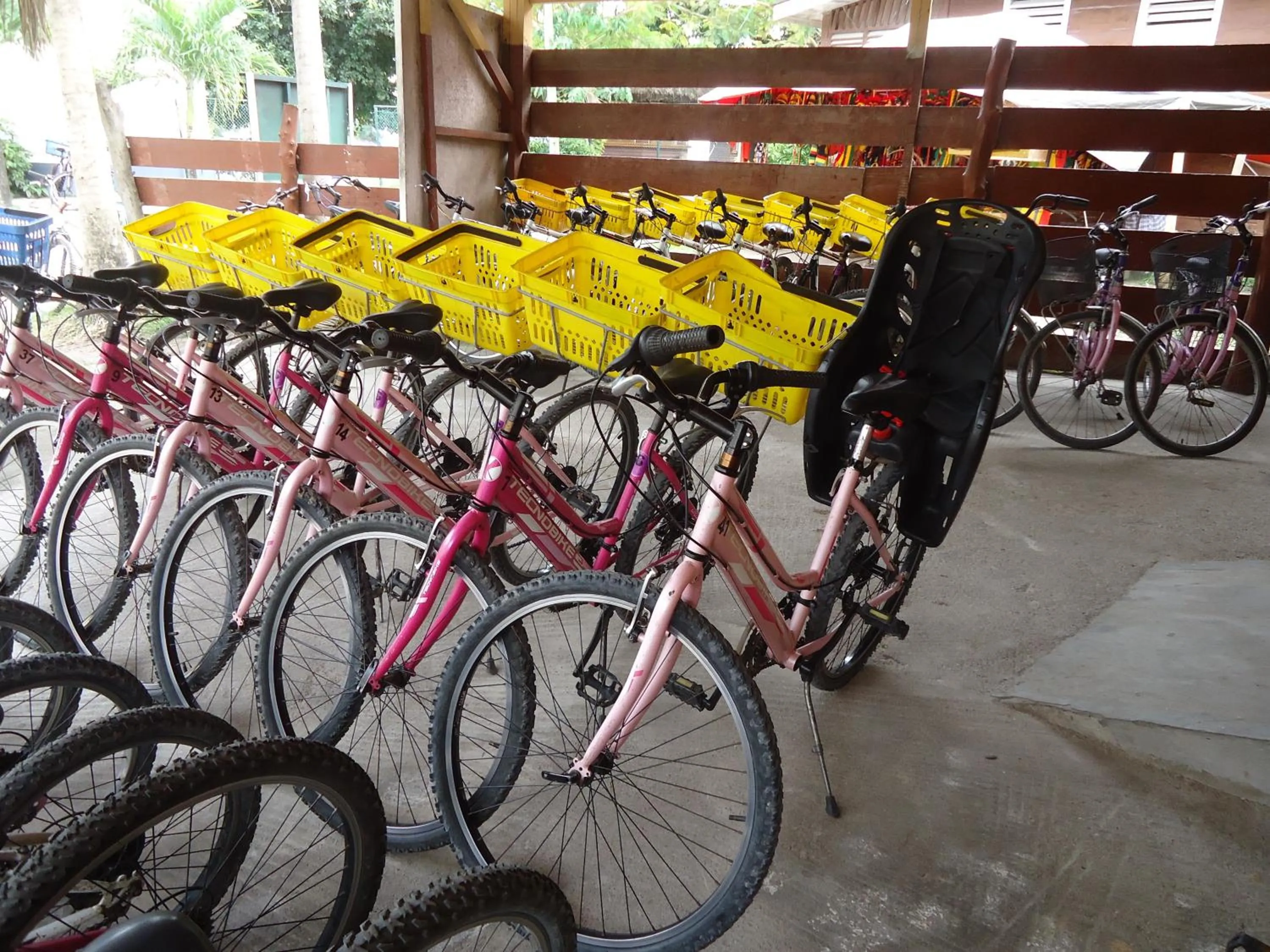 Cycling in Chez Michellin Pensions Residence