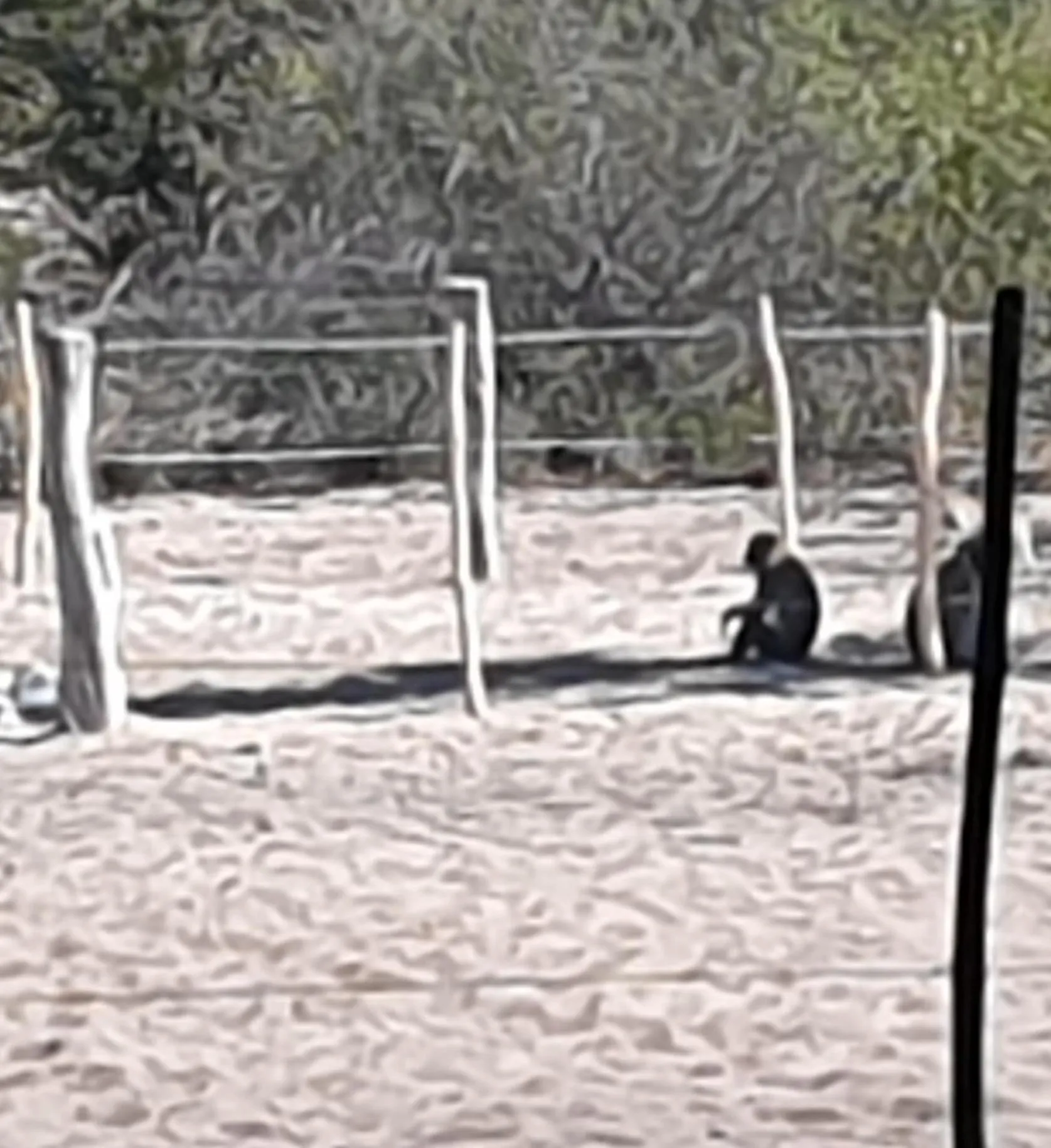 Property building in Paradise Camp Game Lodge