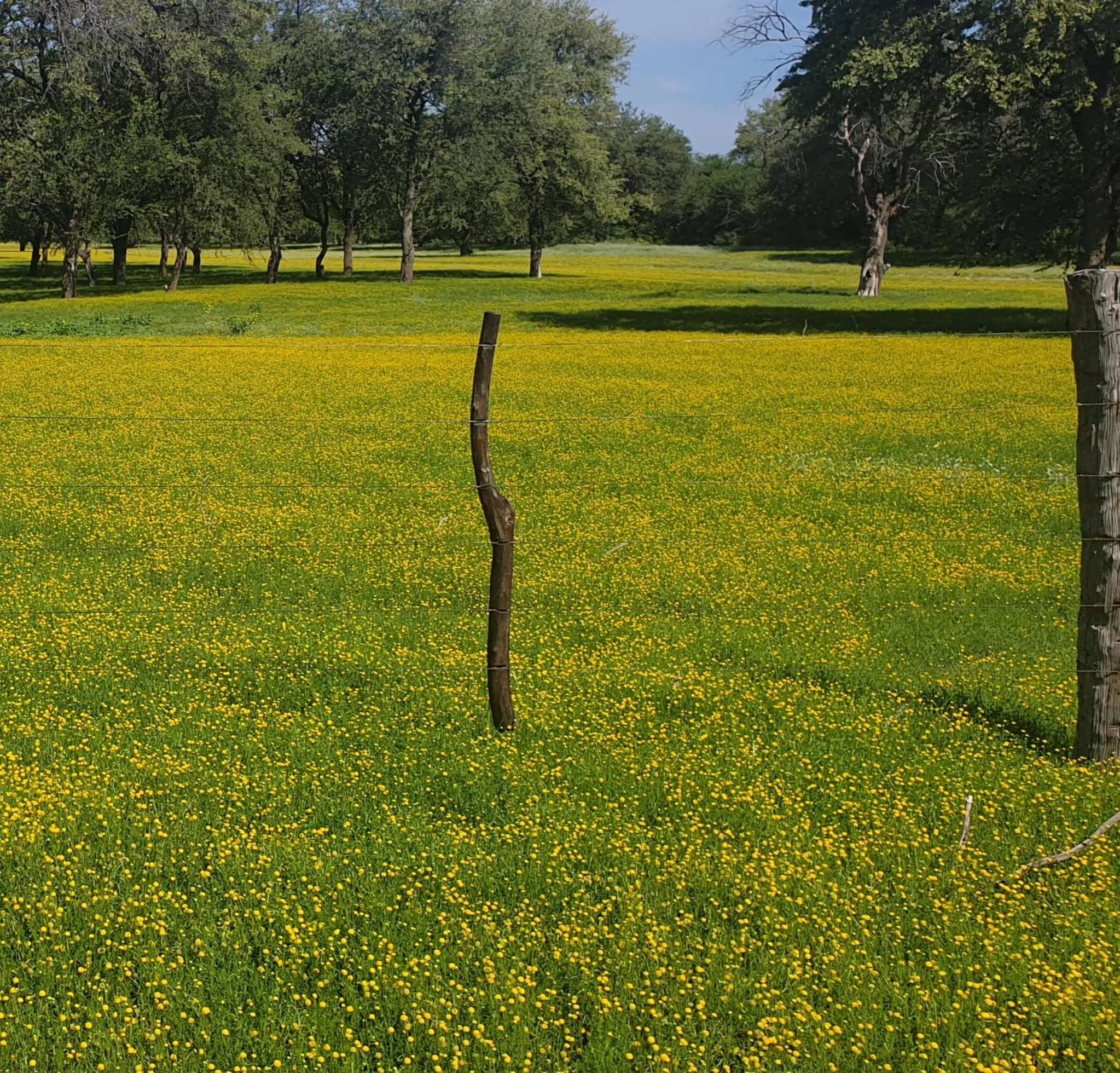 View (from property/room) in Paradise Camp Game Lodge