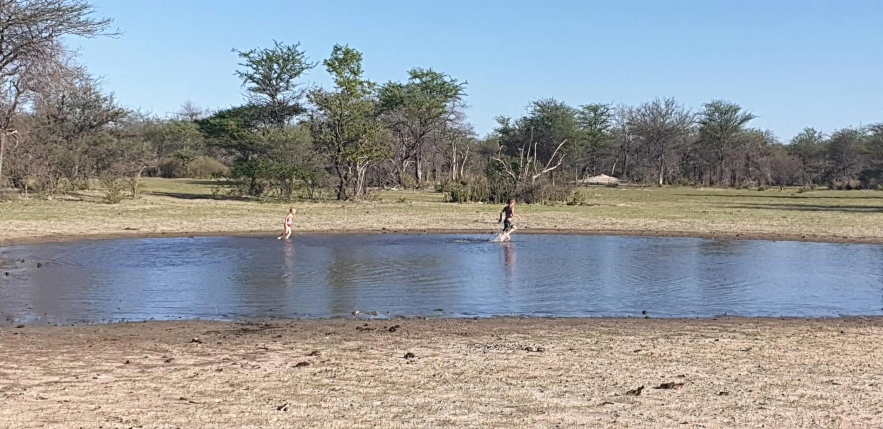 View (from property/room) in Paradise Camp Game Lodge
