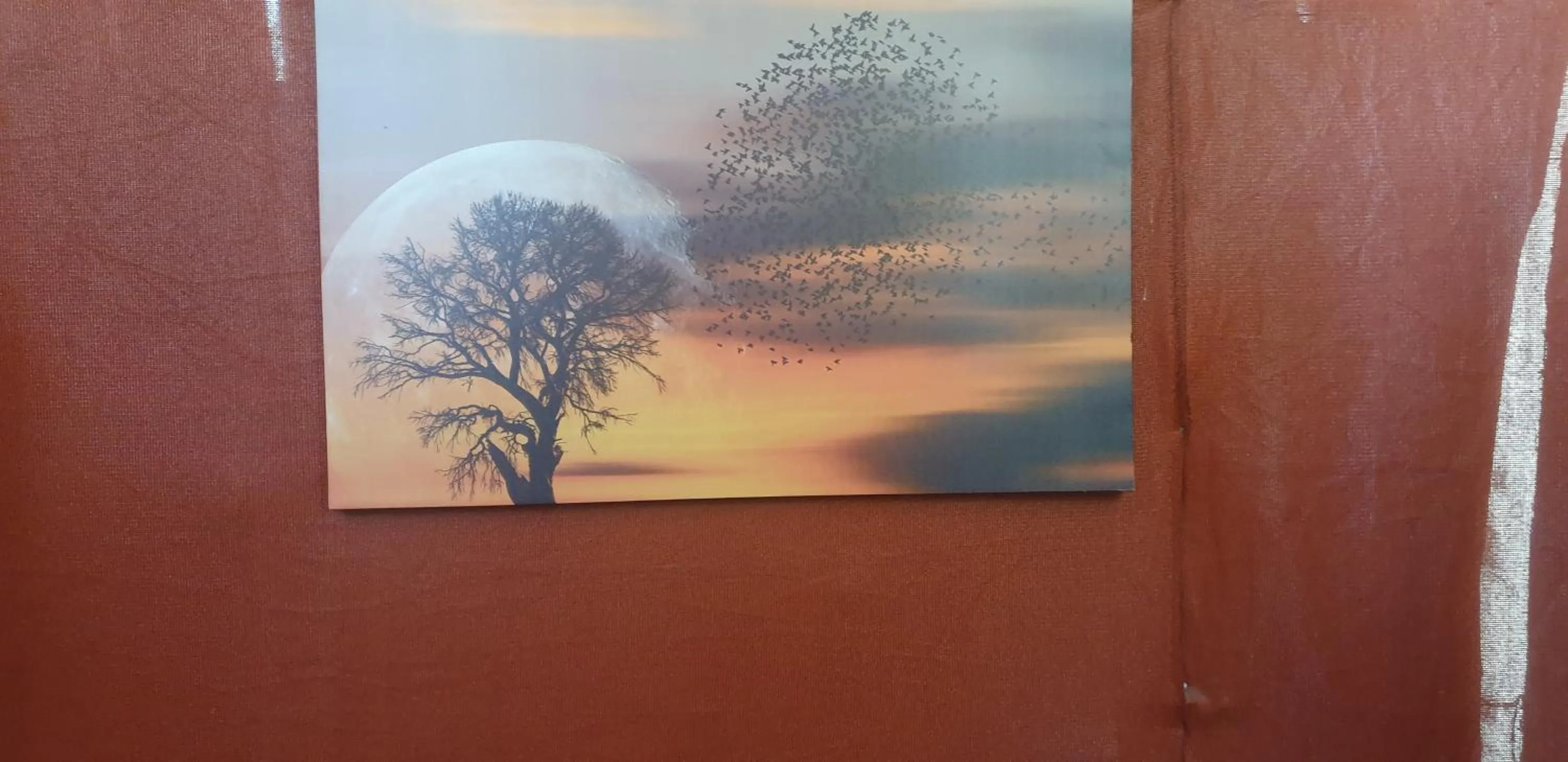 Property building in Paradise Camp Game Lodge