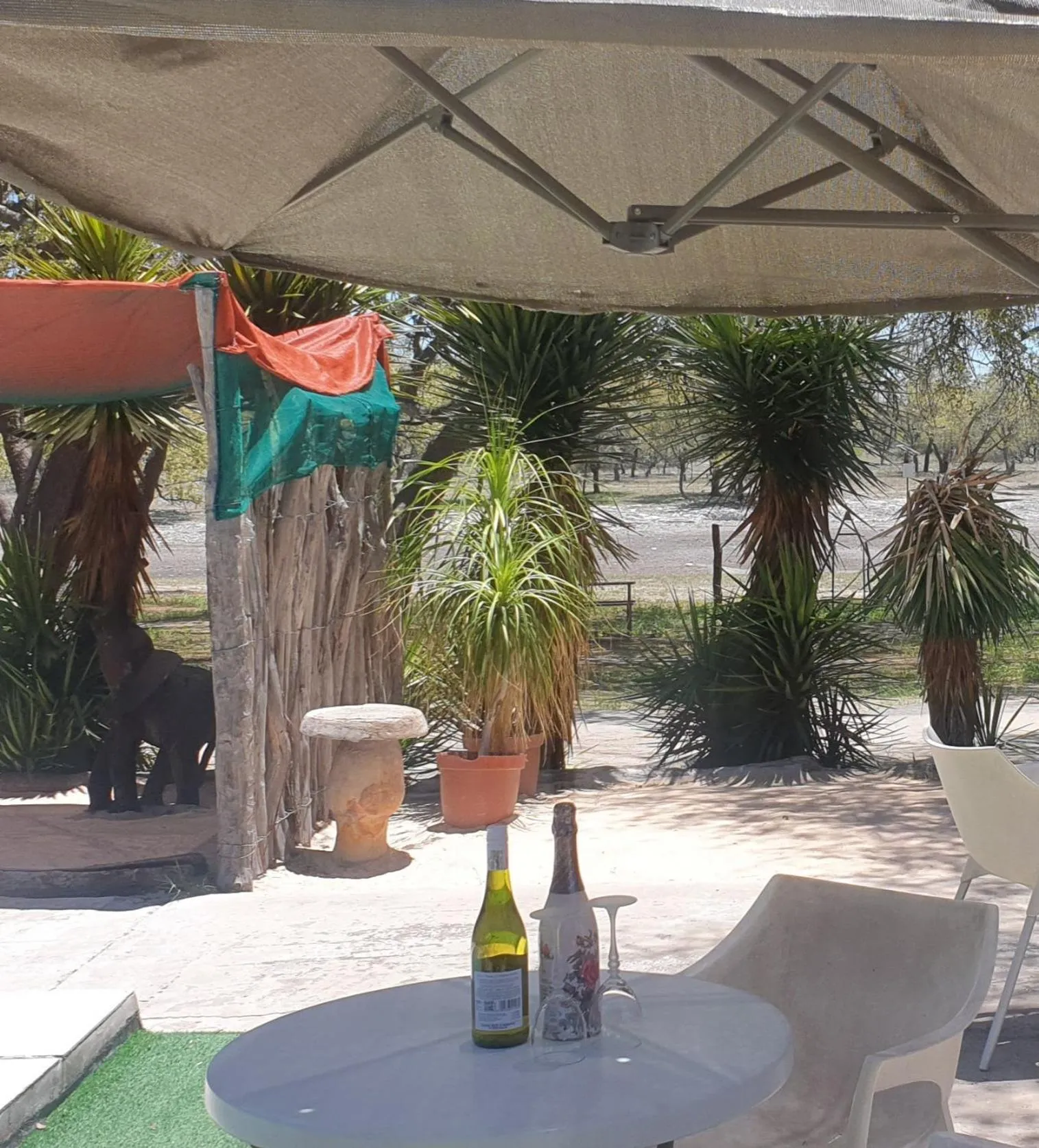 Garden view in Paradise Camp Game Lodge