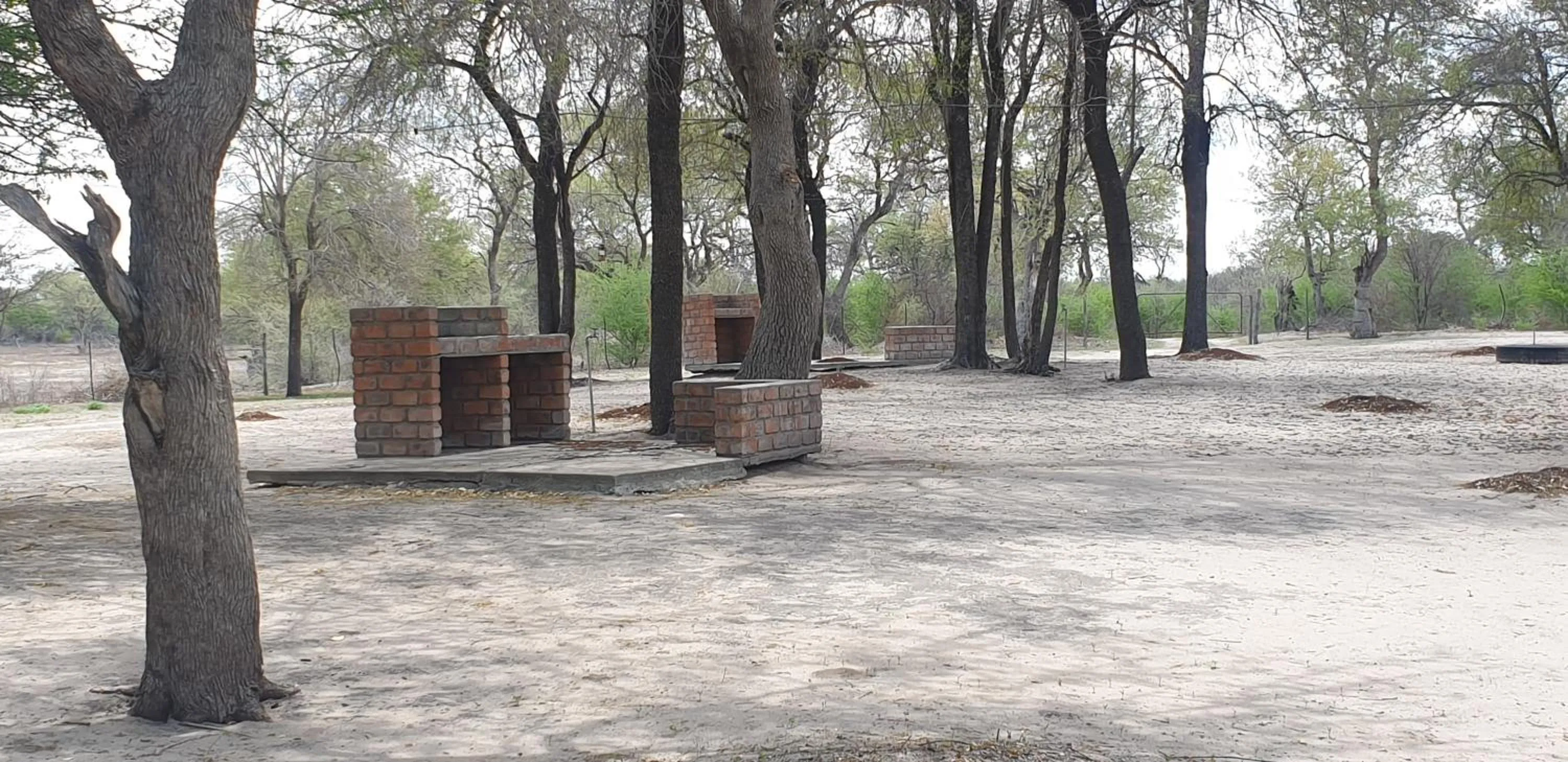 View (from property/room) in Paradise Camp Game Lodge