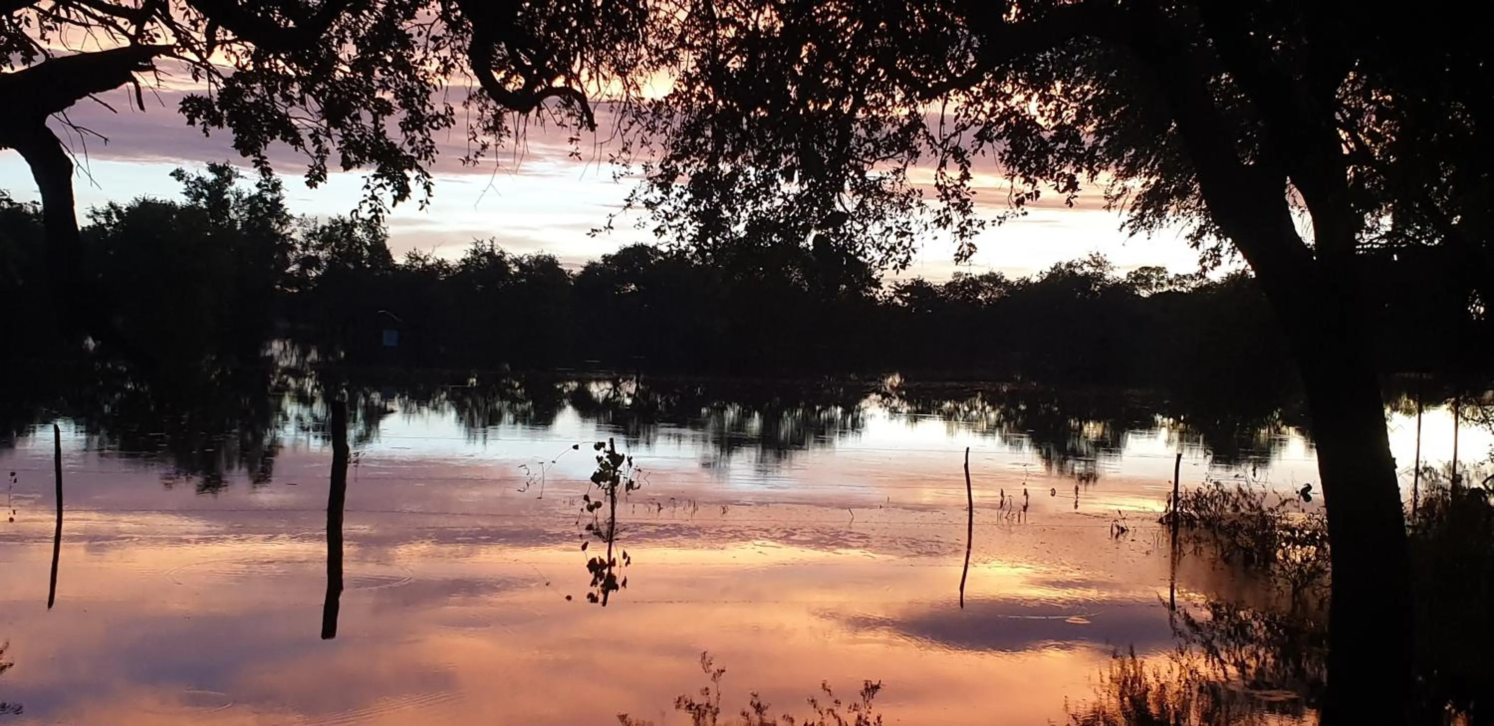 Natural landscape in Paradise Camp Game Lodge