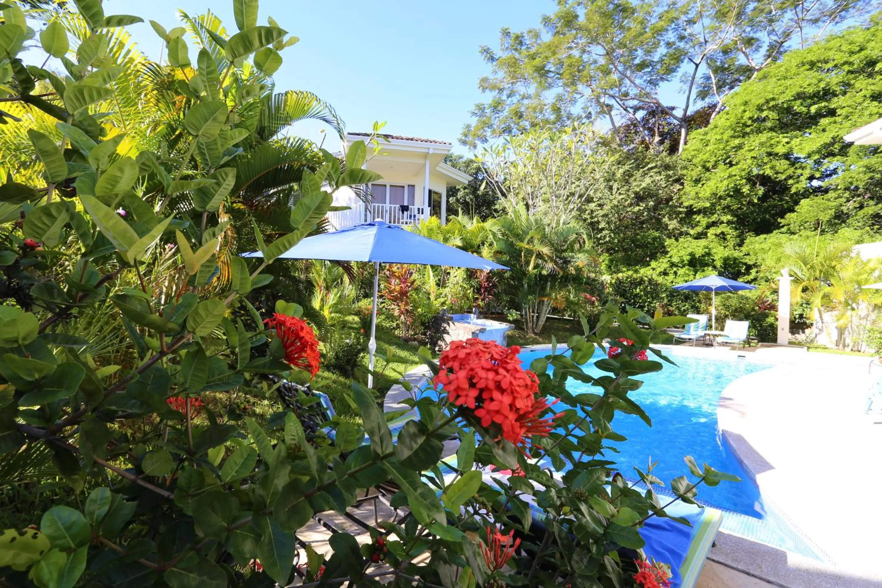 Swimming pool in The Hideaway Hotel