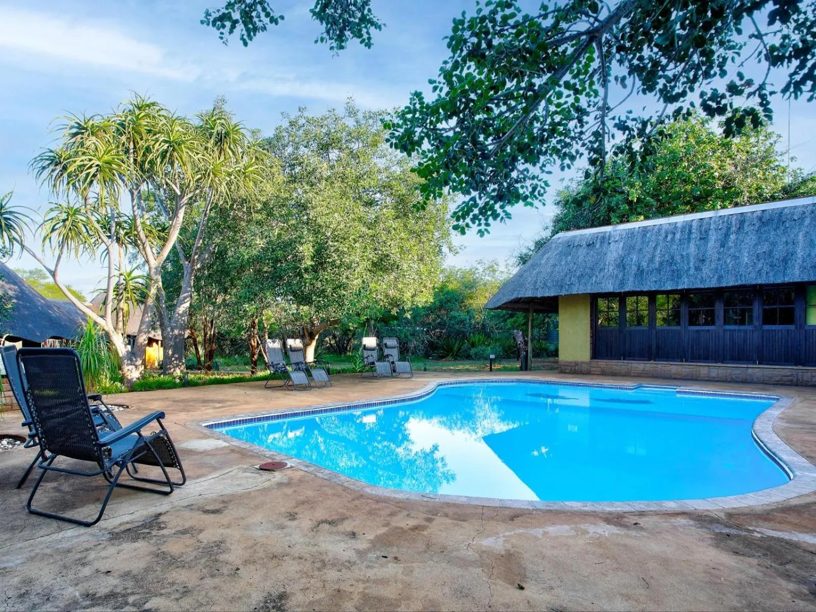 Swimming pool in Kubu Safari Lodge