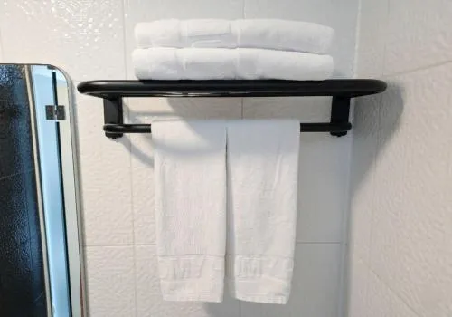 Ekonomy Hotel Myeongdong Premier