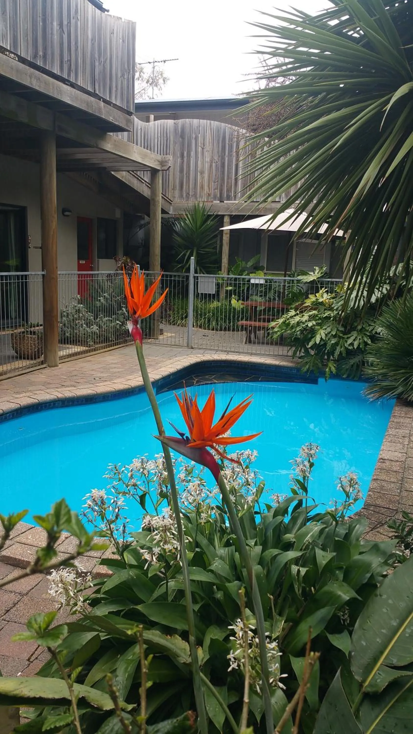 Spring in Apartments At Glen Isla