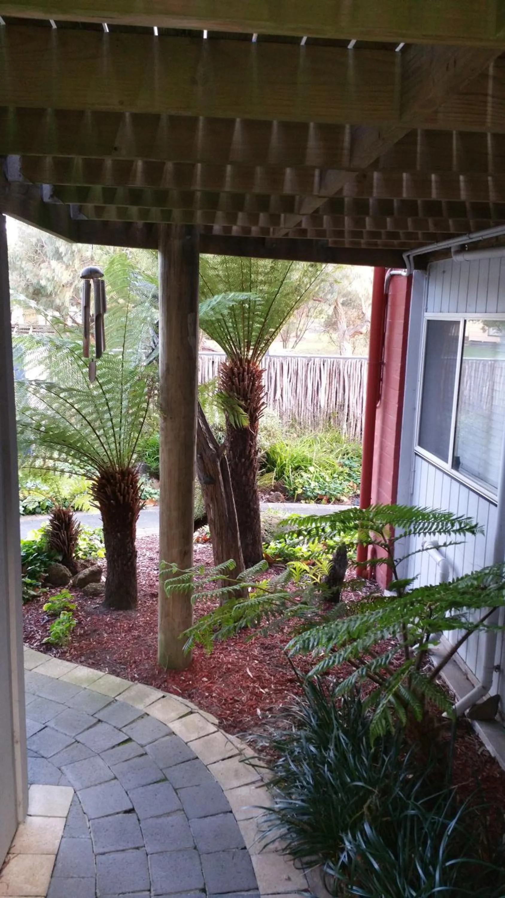 Garden in Apartments At Glen Isla