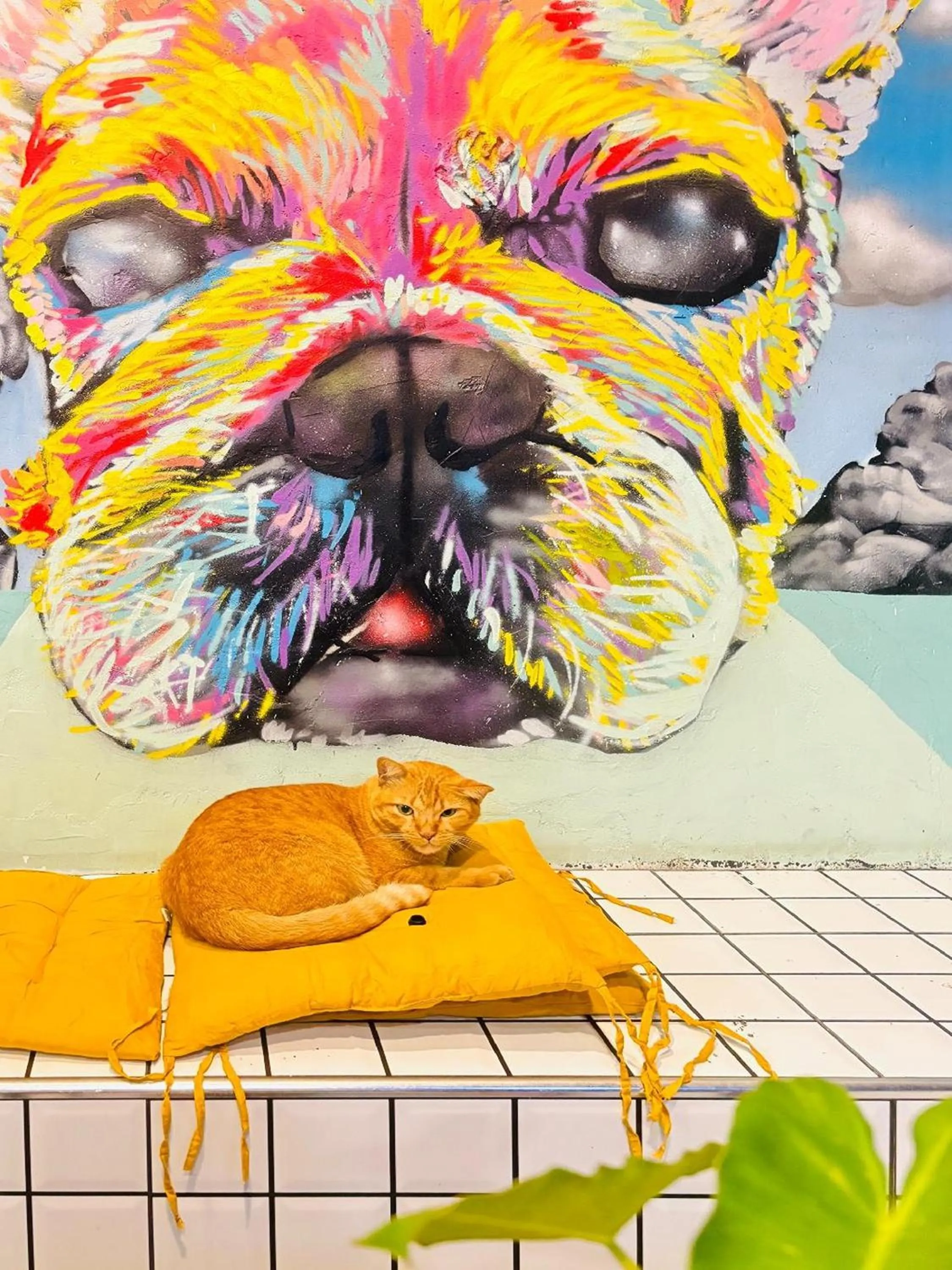 Property building in The Yak Cozy Chiang Mai