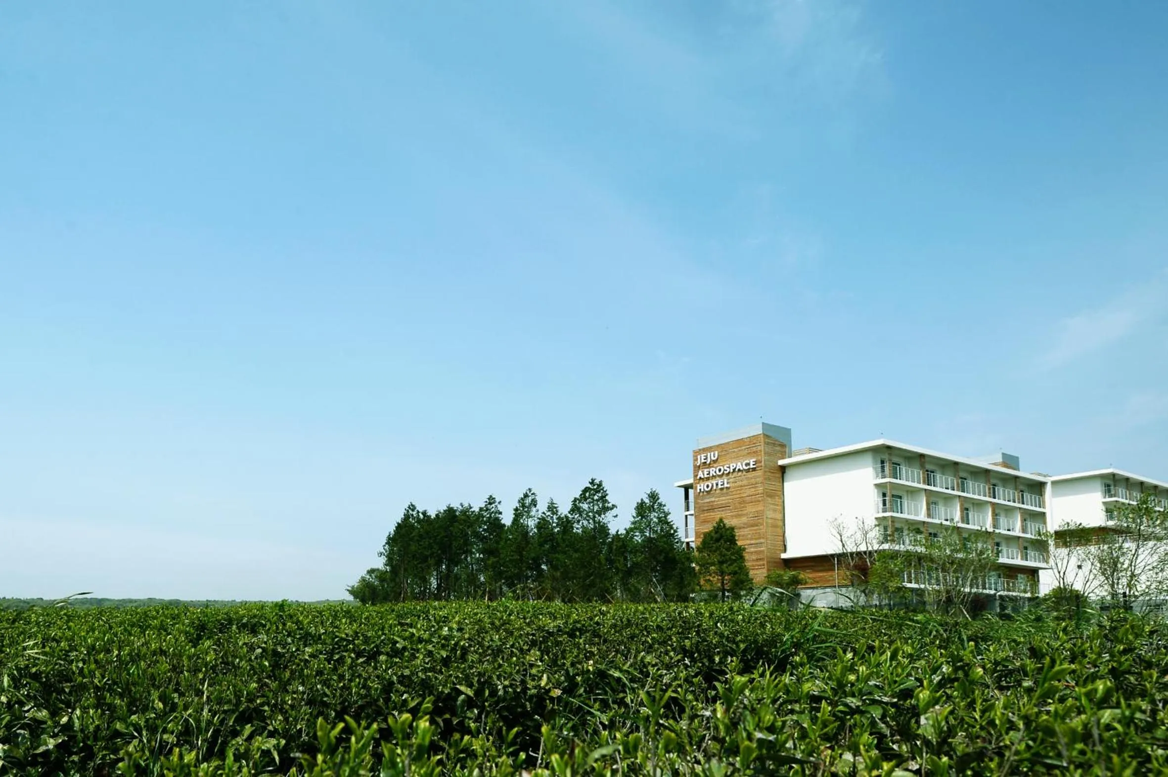 Property building in Jeju Aerospace Hotel