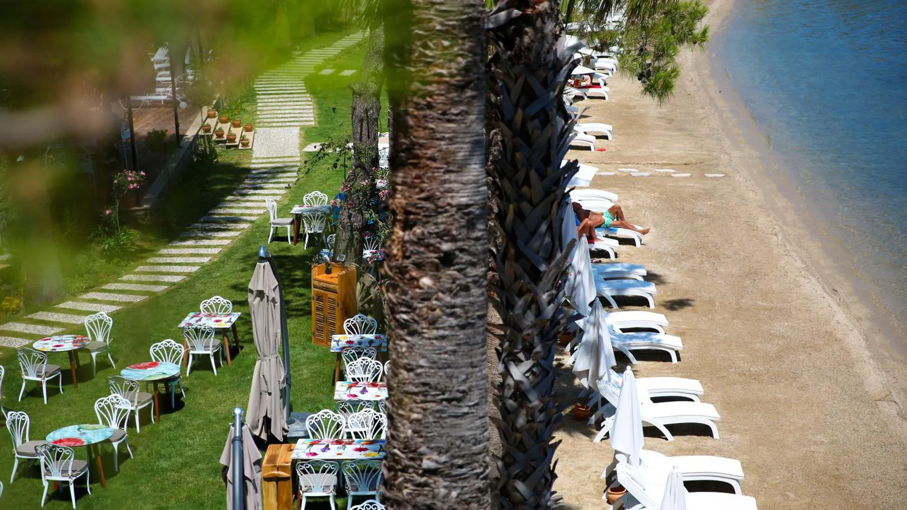 Garden in Joya Del Mar Hotel