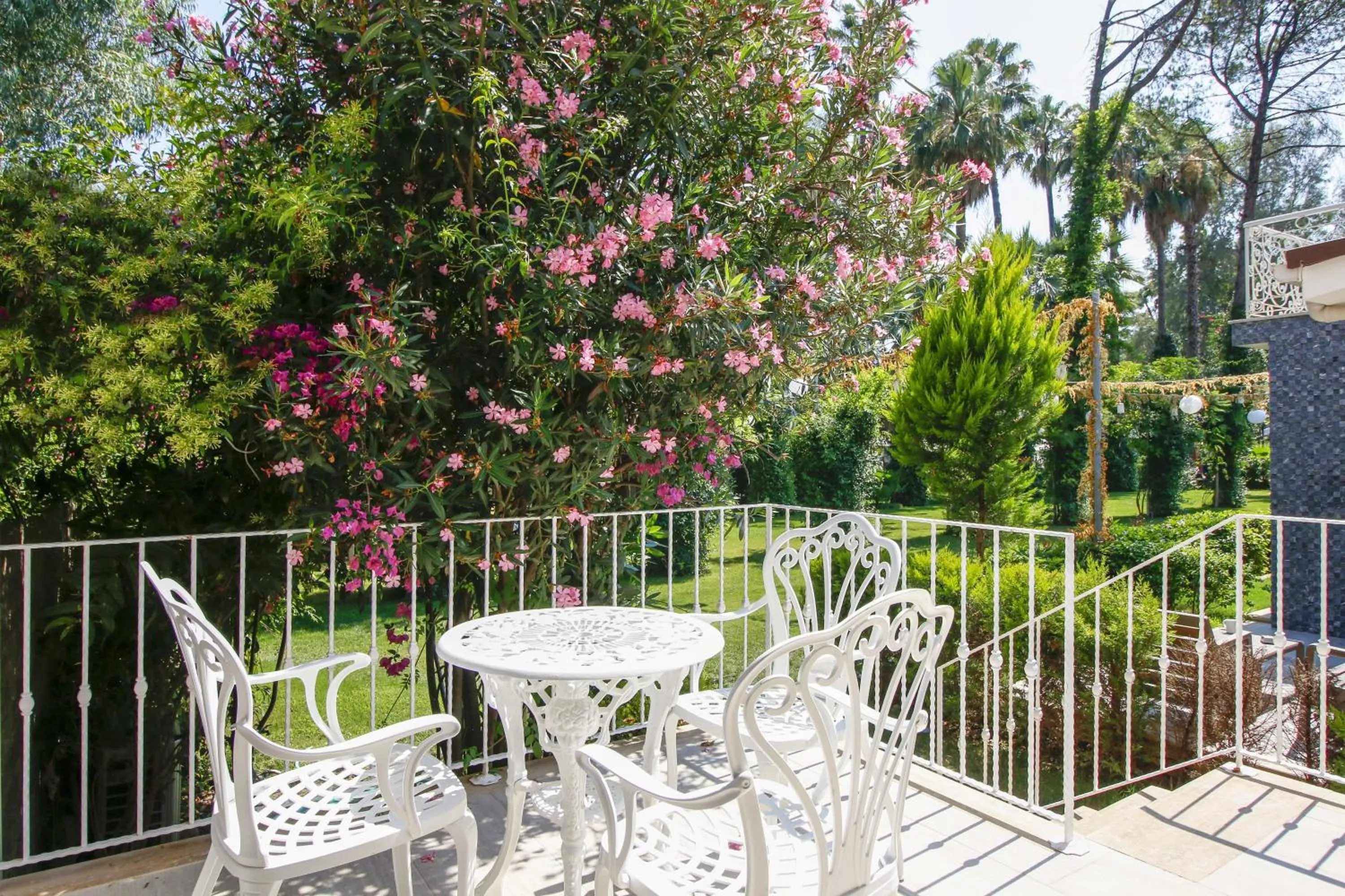 Garden in Joya Del Mar Hotel