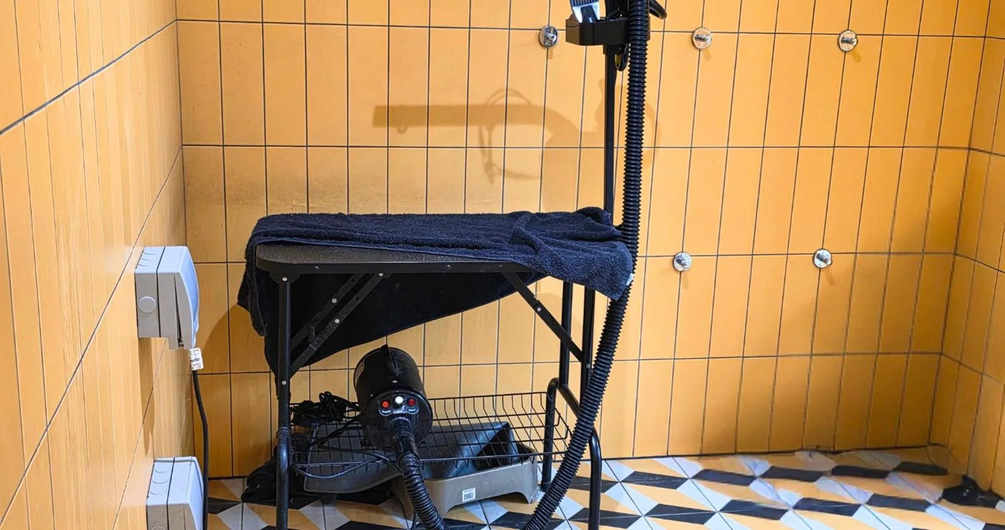 Pets in Charles Hope London Croydon