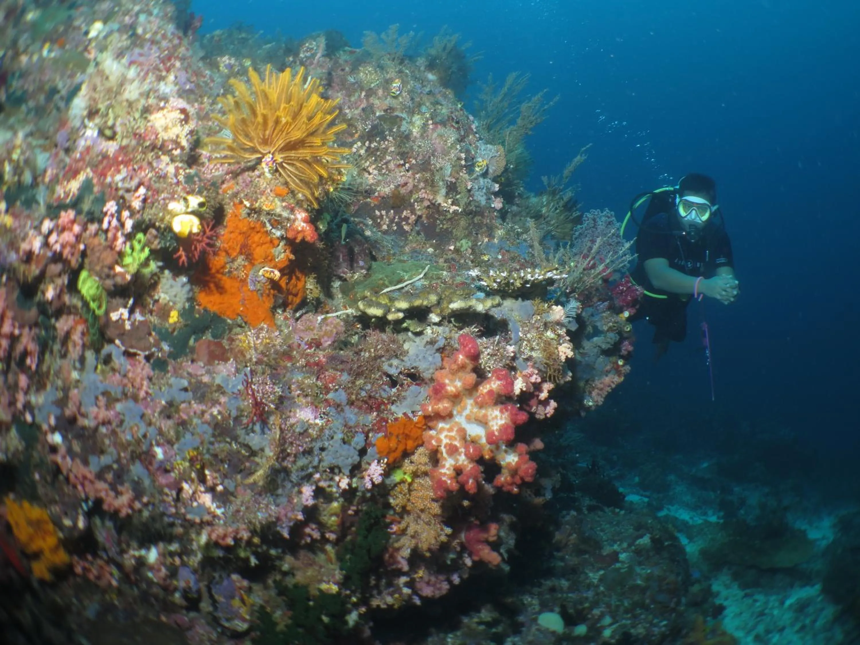 Hamueco Dive Resort Raja Ampat