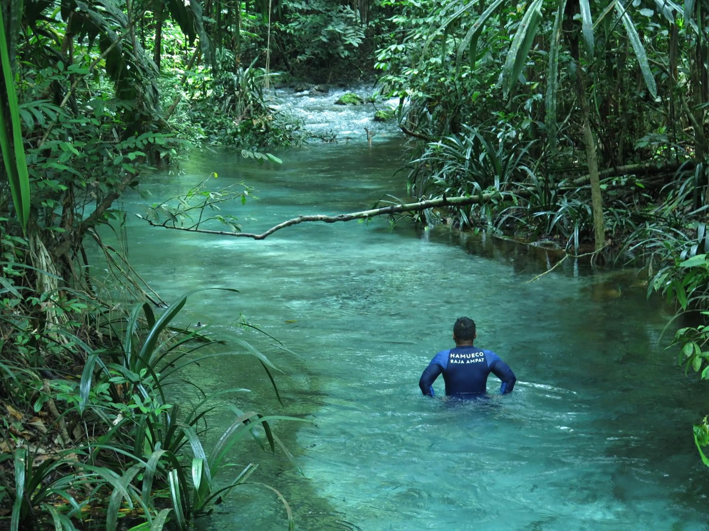 Hamueco Dive Resort Raja Ampat