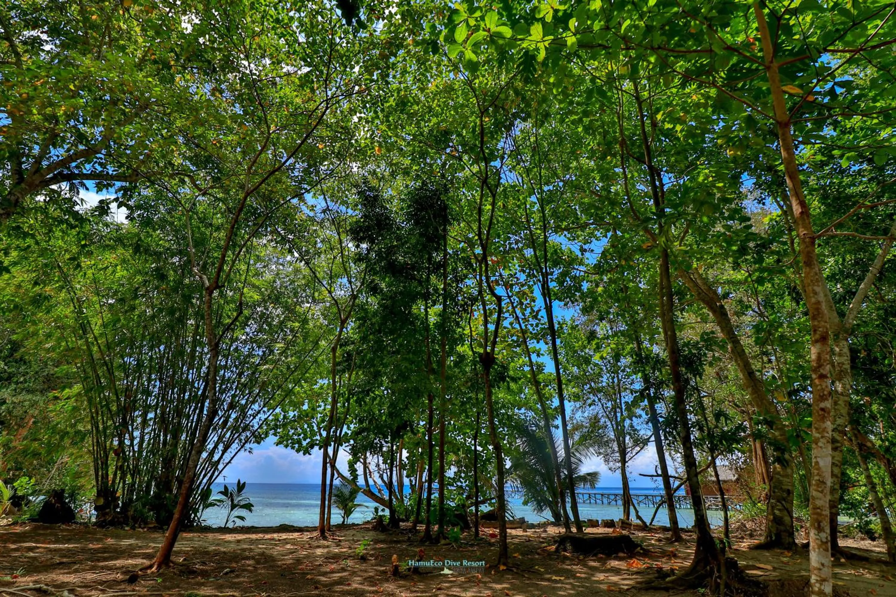 Hamueco Dive Resort Raja Ampat