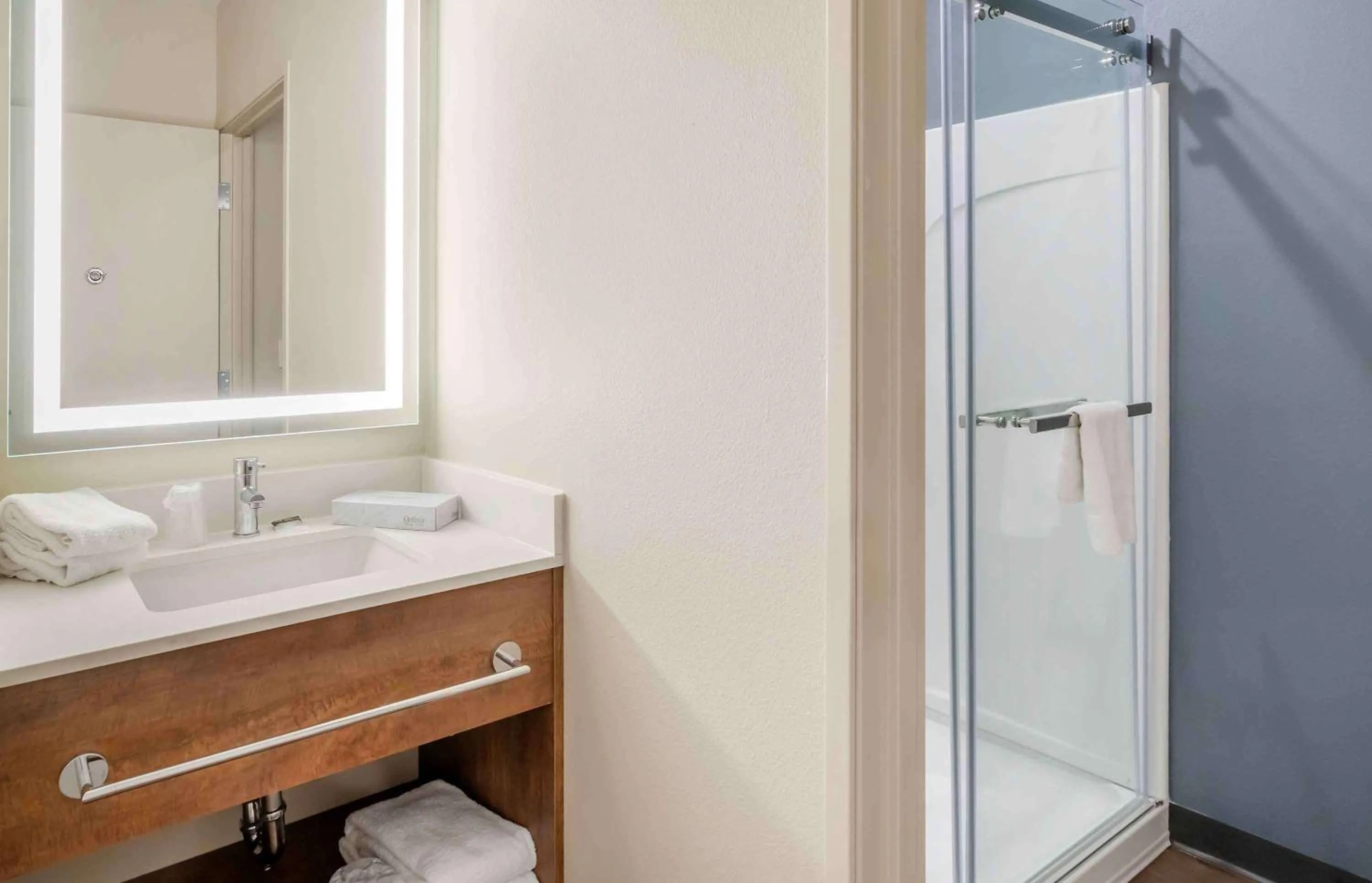 Bathroom in Extended Stay America Premier Suites - Fort Myers - Airport