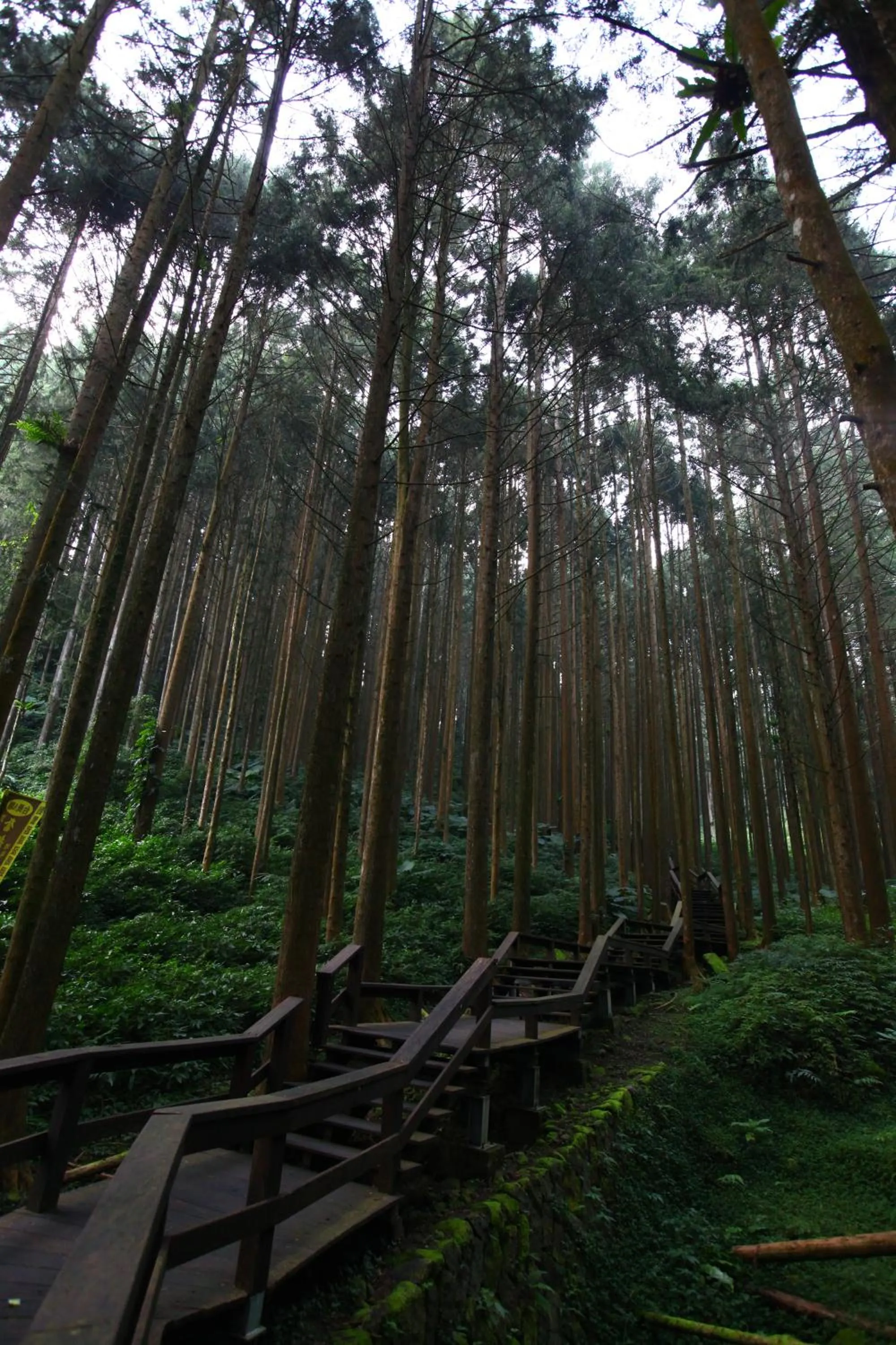 Off site in Yeashow Villa