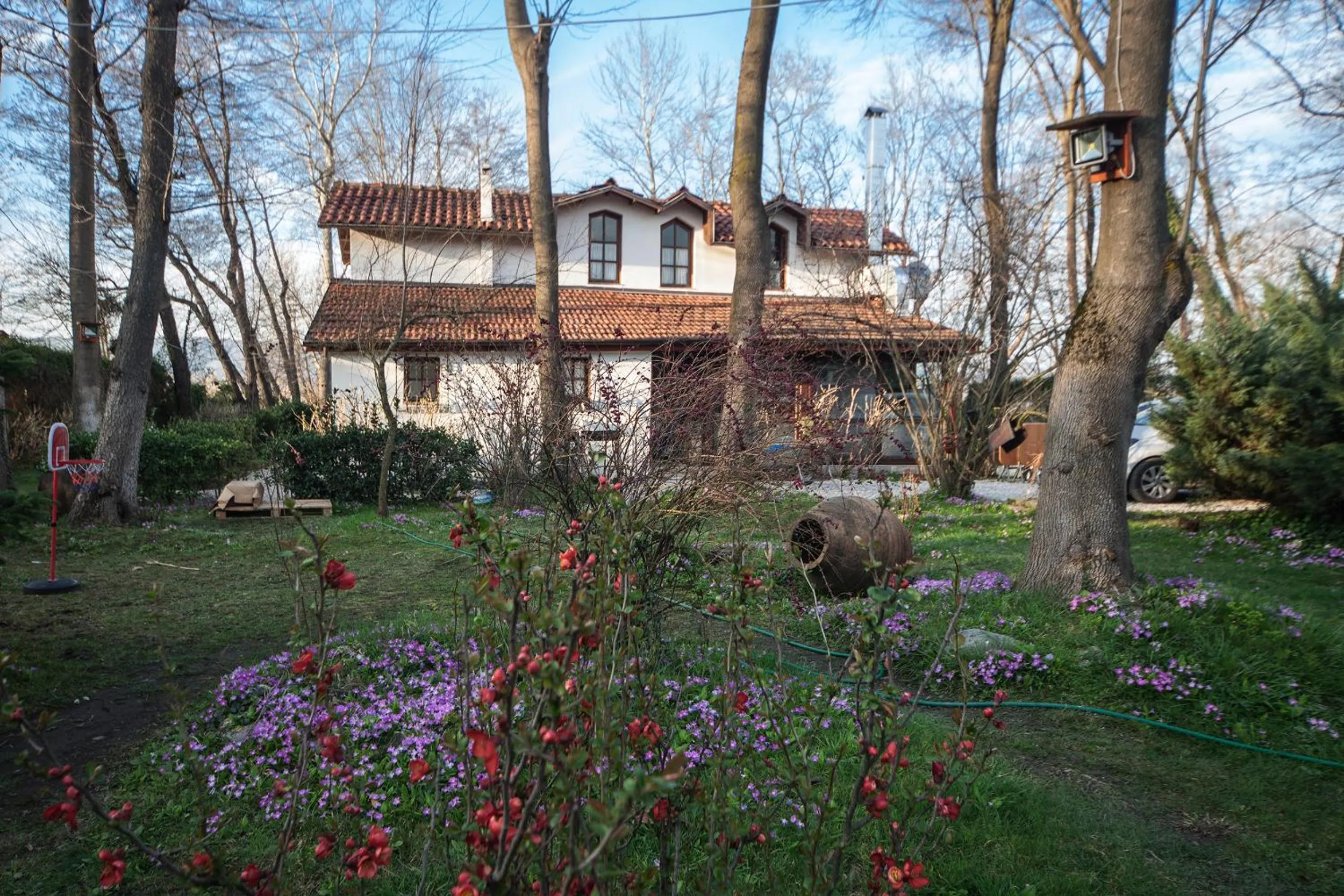 Property building in Beta Home Sapanca