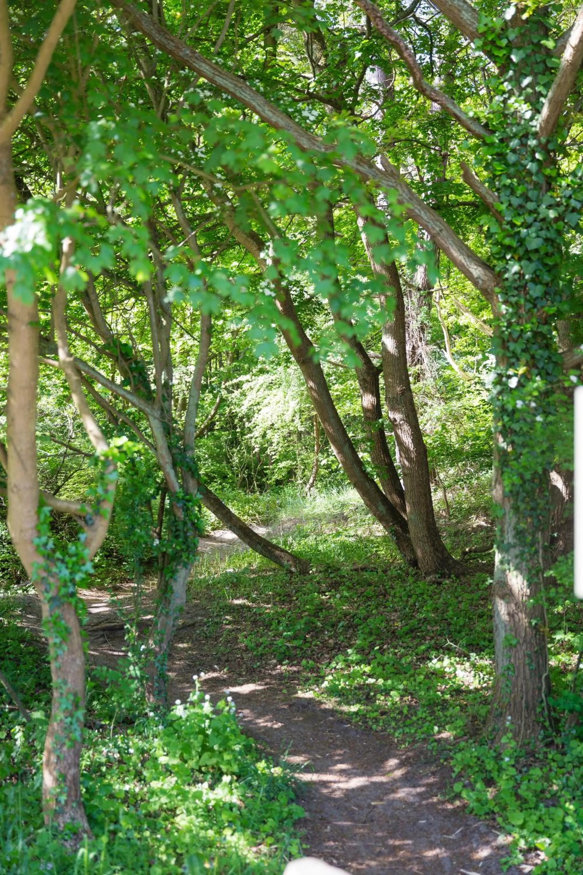 Day in ´t Wapen van Marion