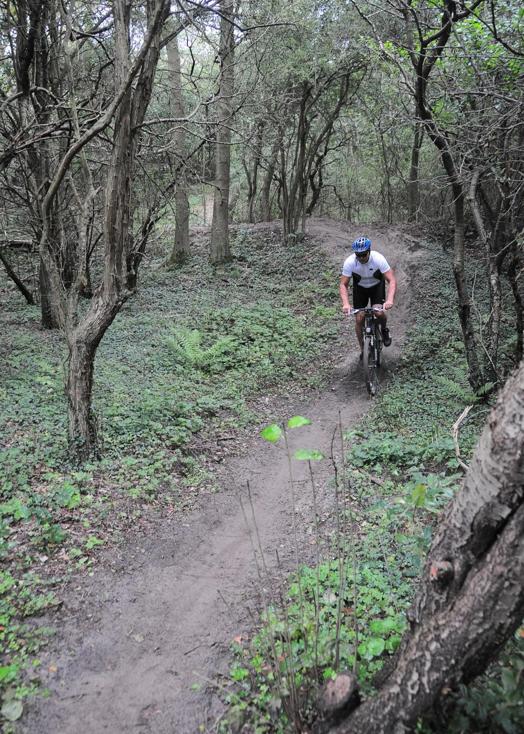 People in ´t Wapen van Marion