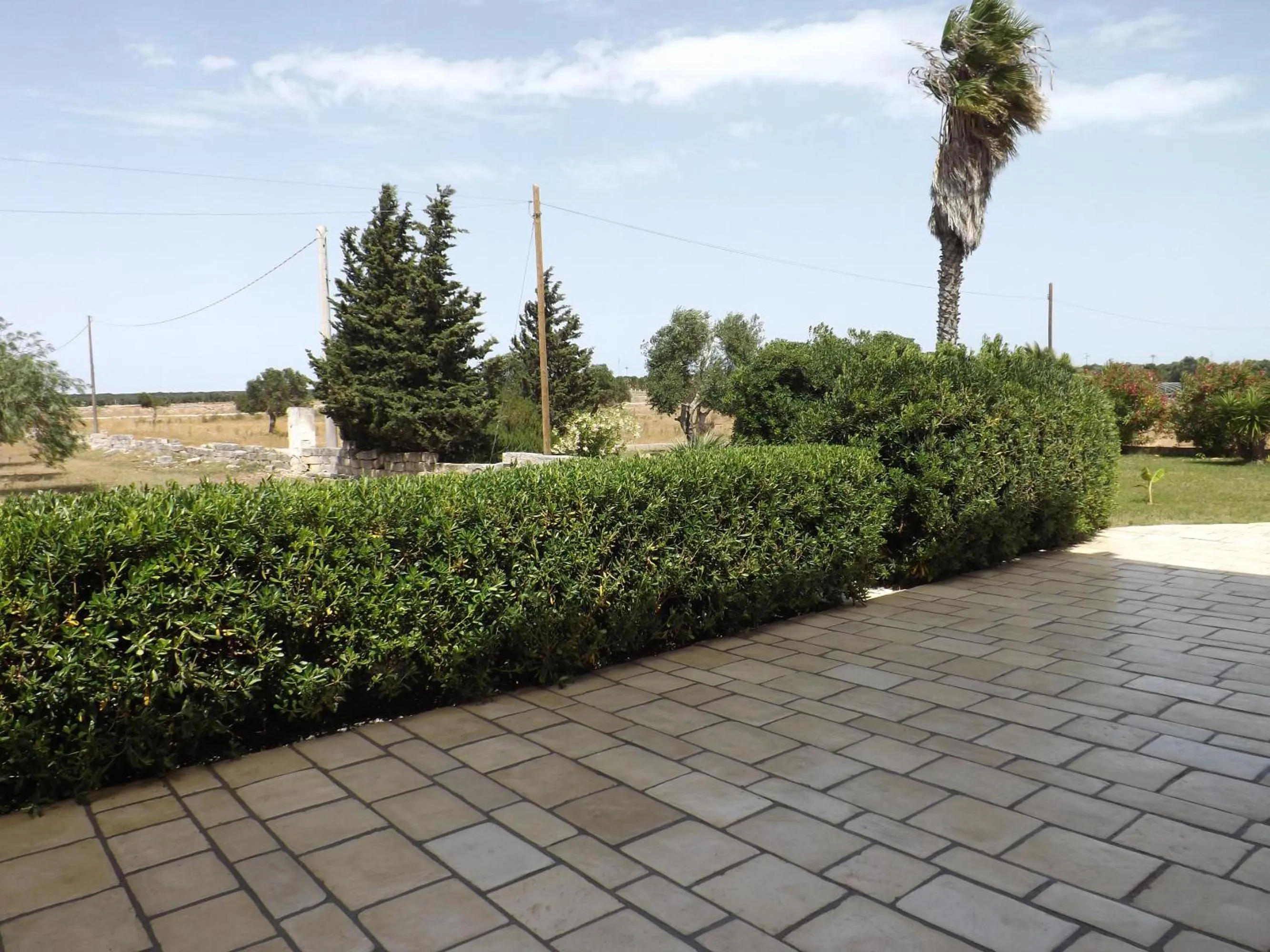 Garden in Il mondo dei sogni